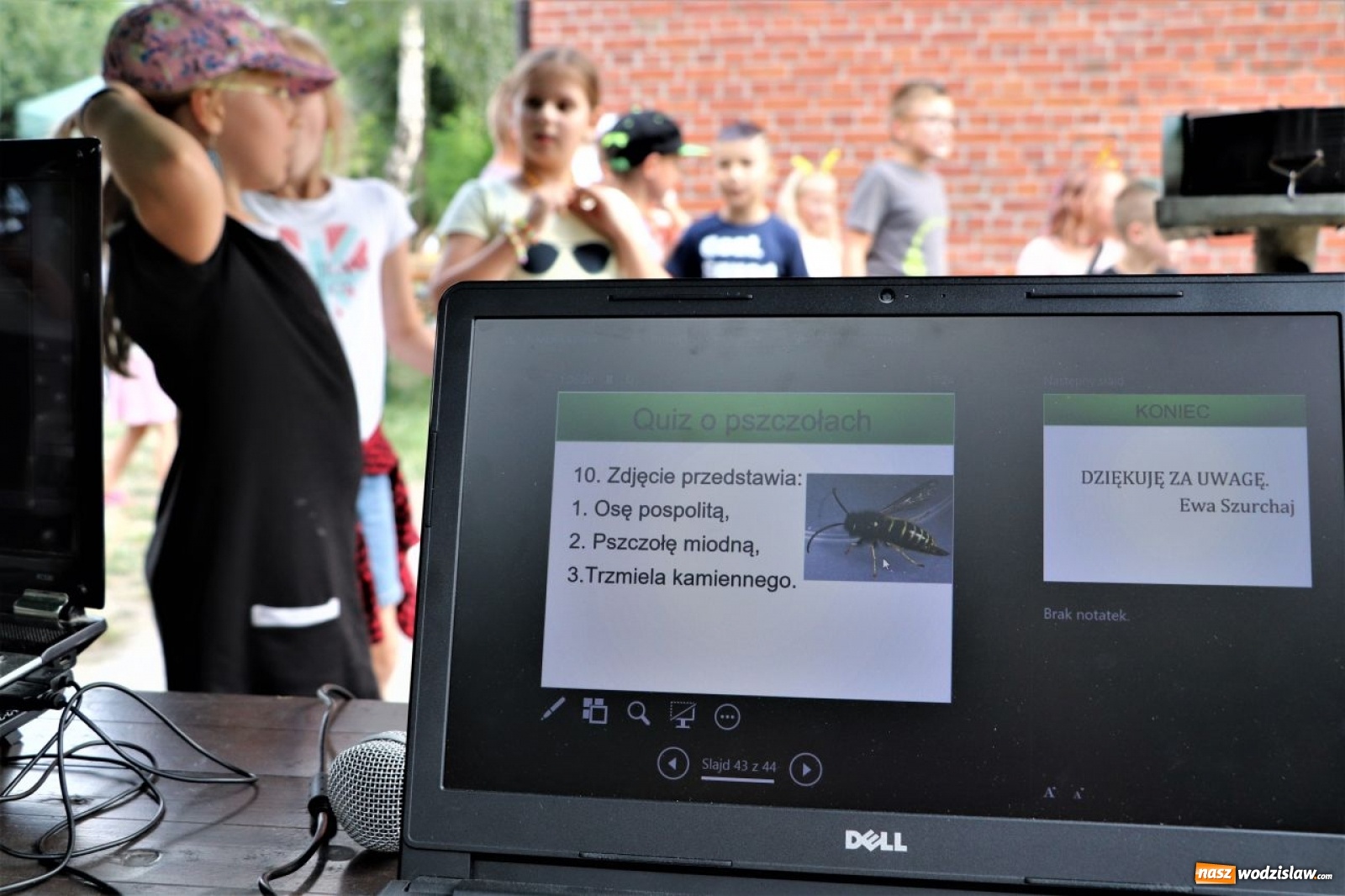 Zdjęcie w galerii na portalu naszwodzislaw.com: Dzień Pszczółki Mai na Marcelu [FOTO] wiadomości z regionu