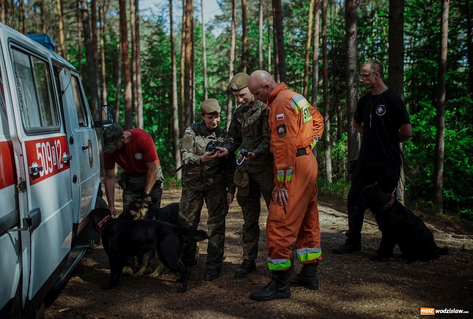 Zdjęcie w galerii na portalu naszwodzislaw.com: Podczas wichury zaginęli drwale... Szkolenie śląskich terytorialsów [FOTO]  wiadomości z regionu