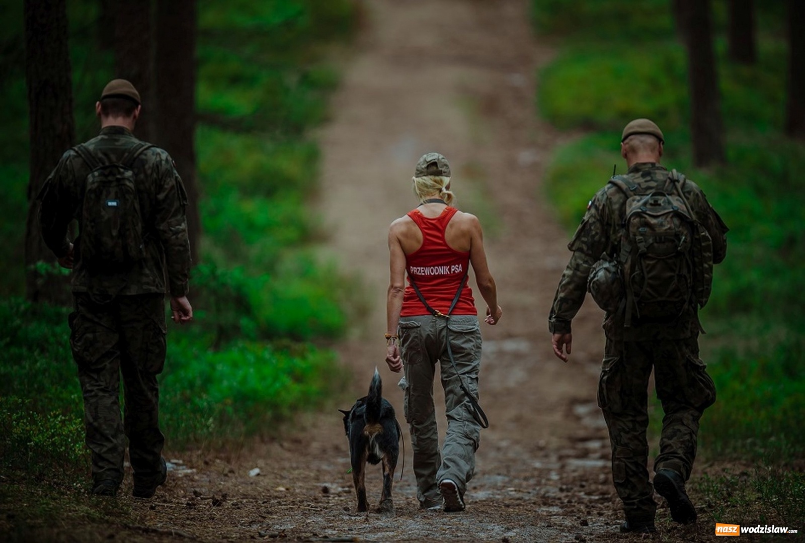 Zdjęcie w galerii na portalu naszwodzislaw.com: Podczas wichury zaginęli drwale... Szkolenie śląskich terytorialsów [FOTO]  wiadomości z regionu