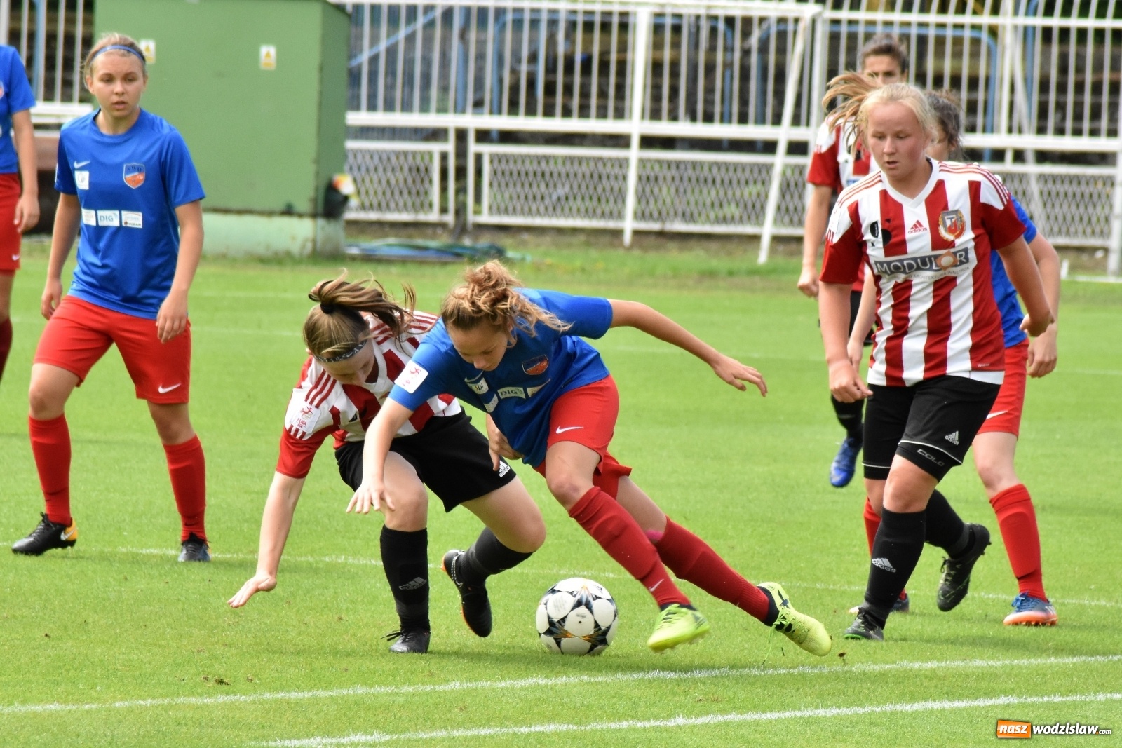 Zdjęcie w galerii na portalu naszwodzislaw.com: SWD Wodzisław przegrał w inauguracji I ligi kobiet [FOTO] wiadomości z regionu