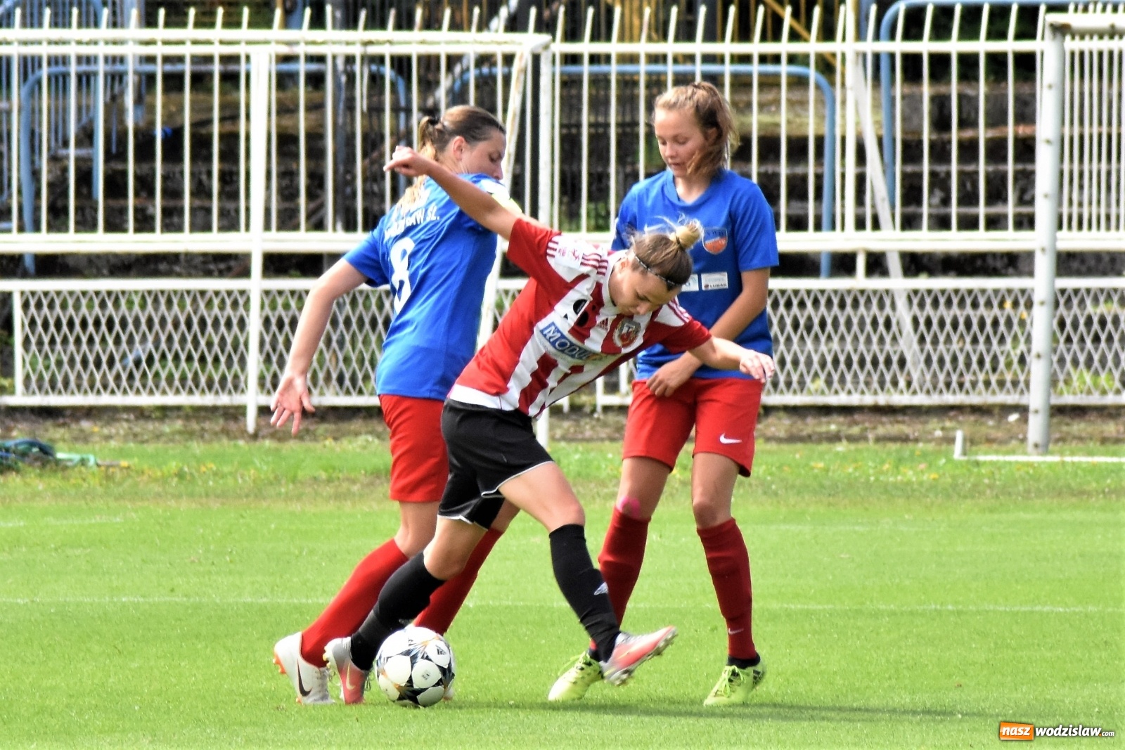 Zdjęcie w galerii na portalu naszwodzislaw.com: SWD Wodzisław przegrał w inauguracji I ligi kobiet [FOTO] wiadomości z regionu