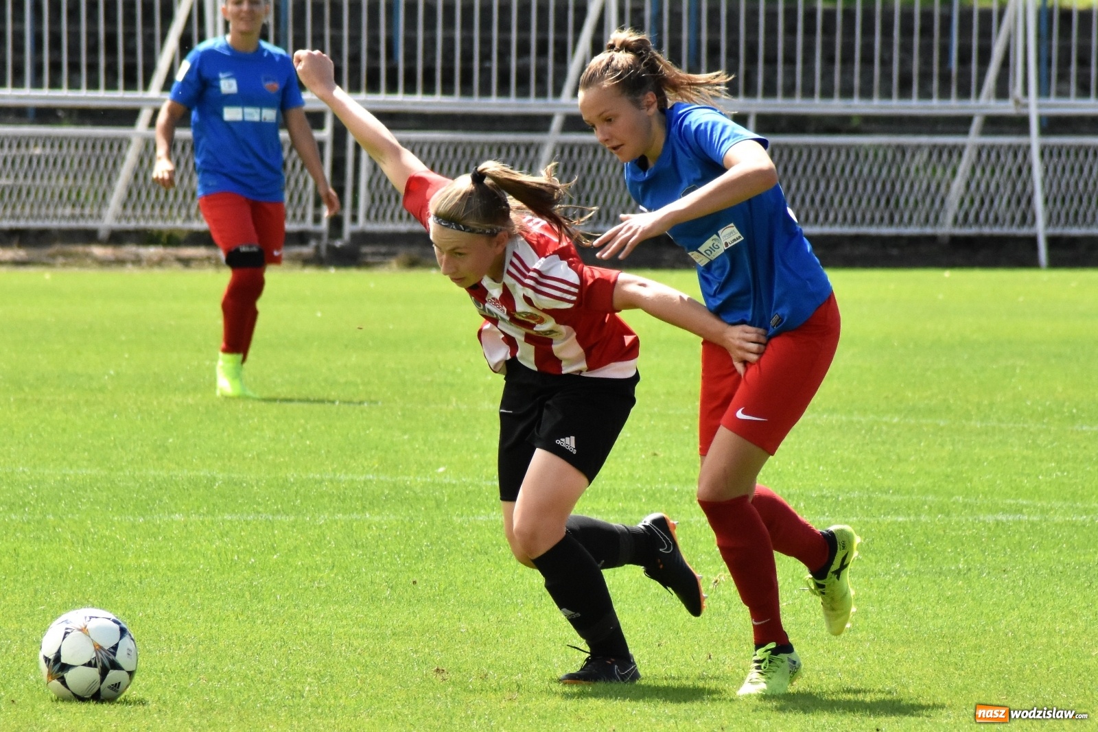 Zdjęcie w galerii na portalu naszwodzislaw.com: SWD Wodzisław przegrał w inauguracji I ligi kobiet [FOTO] wiadomości z regionu