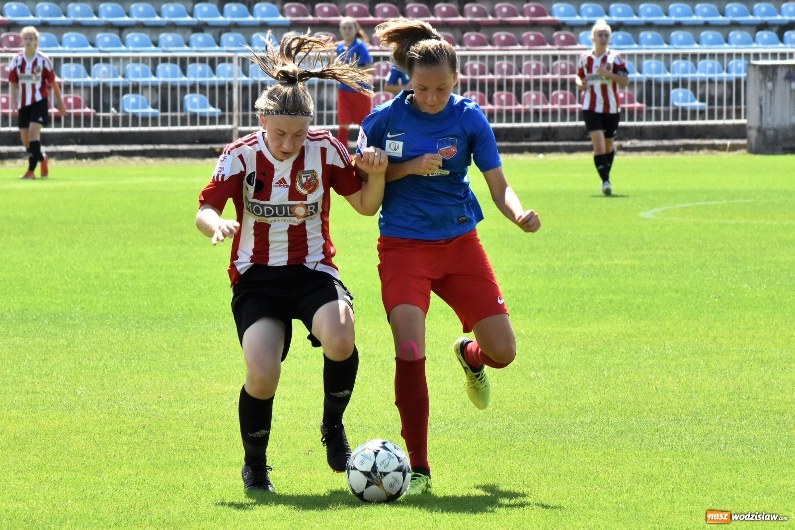 Zdjęcie w galerii na portalu naszwodzislaw.com: SWD Wodzisław przegrał w inauguracji I ligi kobiet [FOTO] wiadomości z regionu