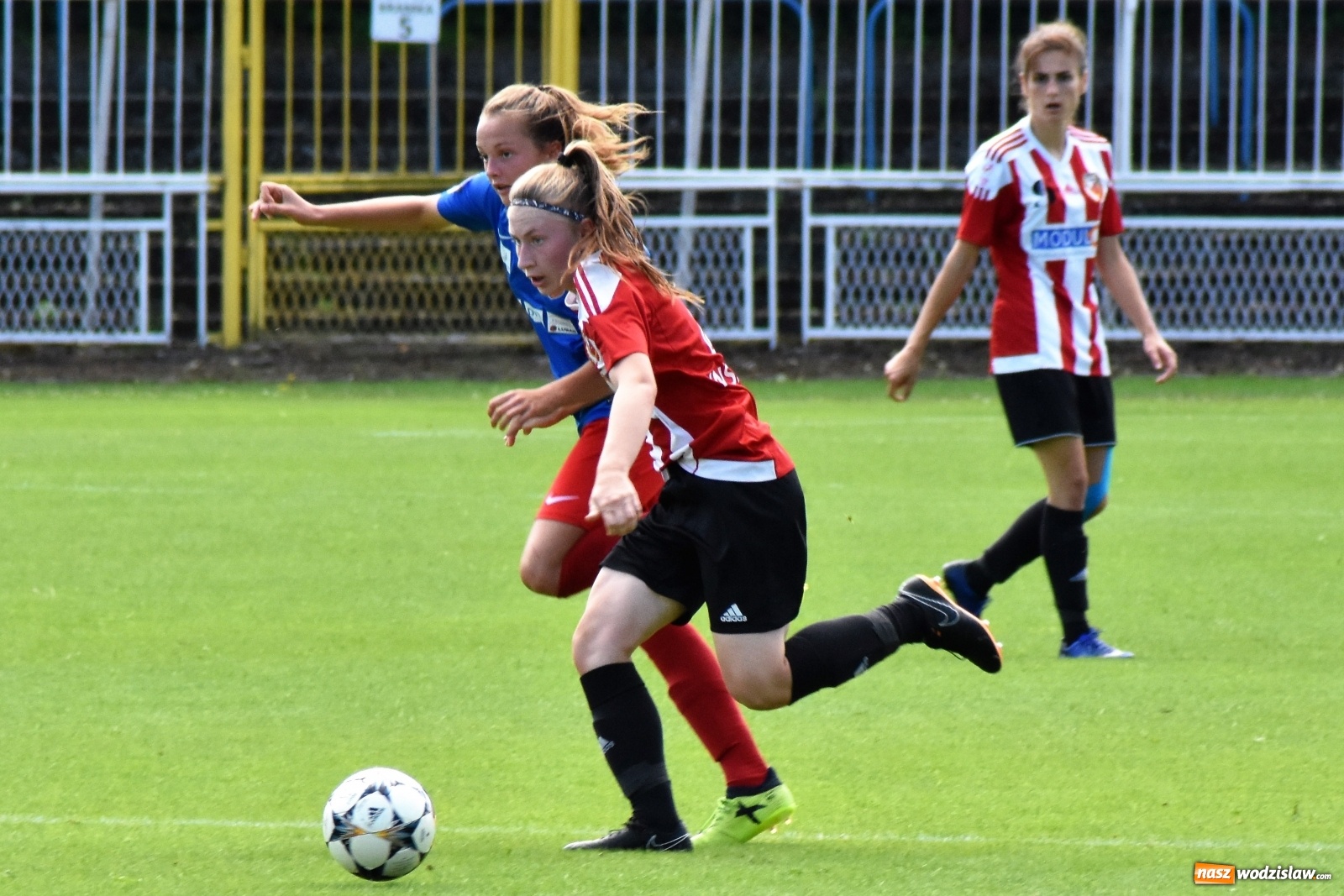 Zdjęcie w galerii na portalu naszwodzislaw.com: SWD Wodzisław przegrał w inauguracji I ligi kobiet [FOTO] wiadomości z regionu