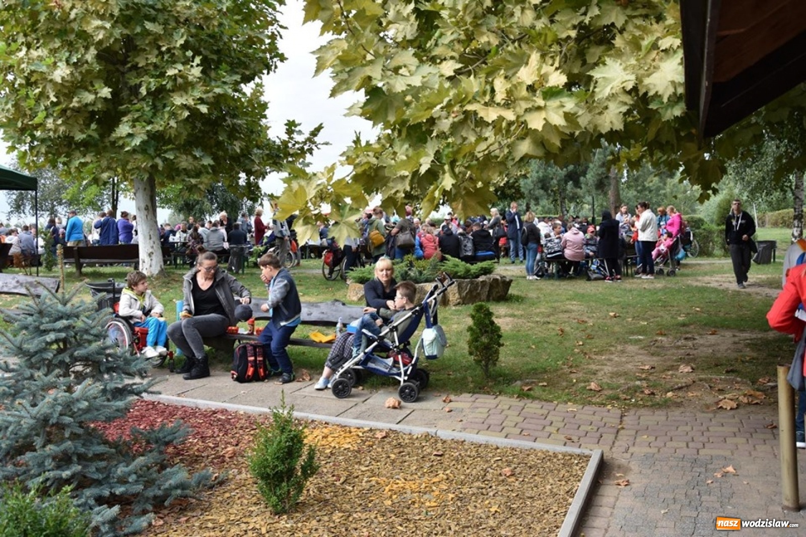 Zdjęcie w galerii na portalu naszwodzislaw.com: Rekordowy Blues roztańczył Olzę [FOTO] wiadomości z regionu