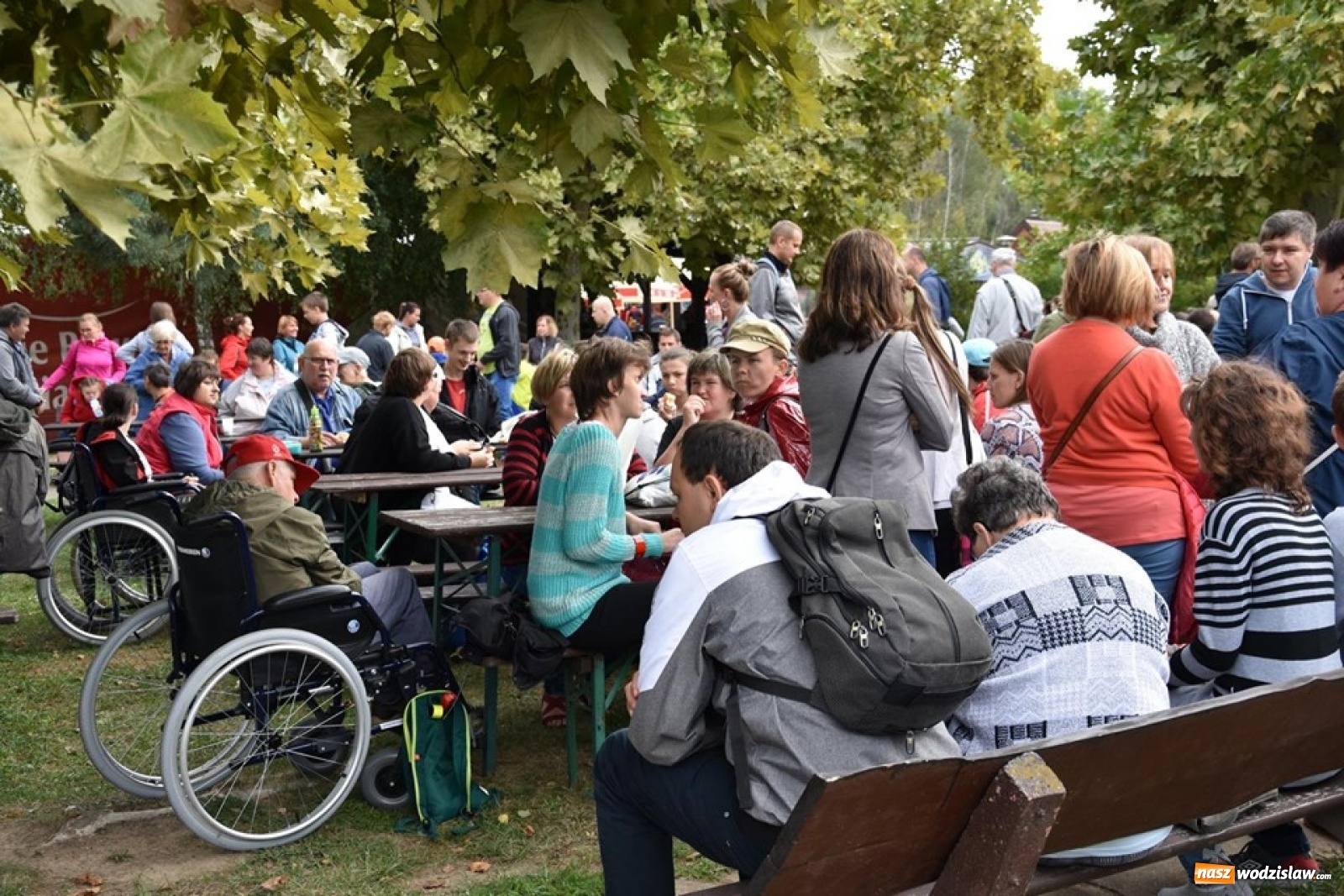 Zdjęcie w galerii na portalu naszwodzislaw.com: Rekordowy Blues roztańczył Olzę [FOTO] wiadomości z regionu