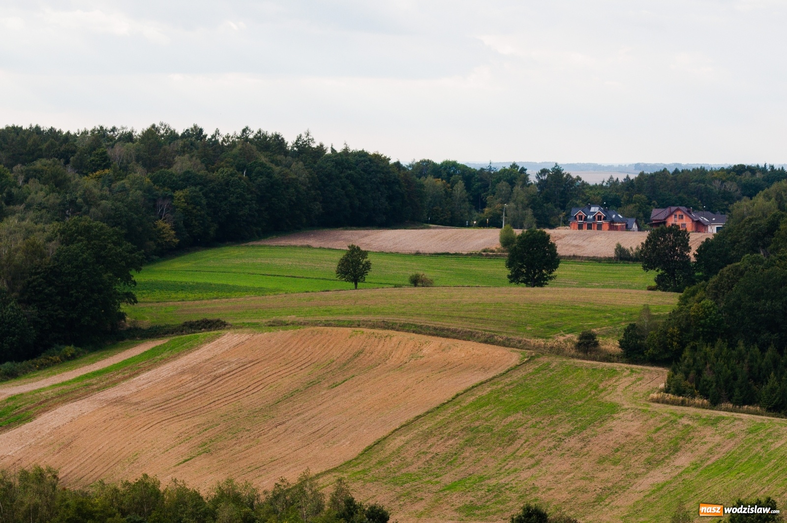 Zdjęcie w galerii na portalu naszwodzislaw.com: Wieża widokowa w Pogrzebieniu już otwarta. Tak z niej widać Lubomię [FOTO]  wiadomości z regionu