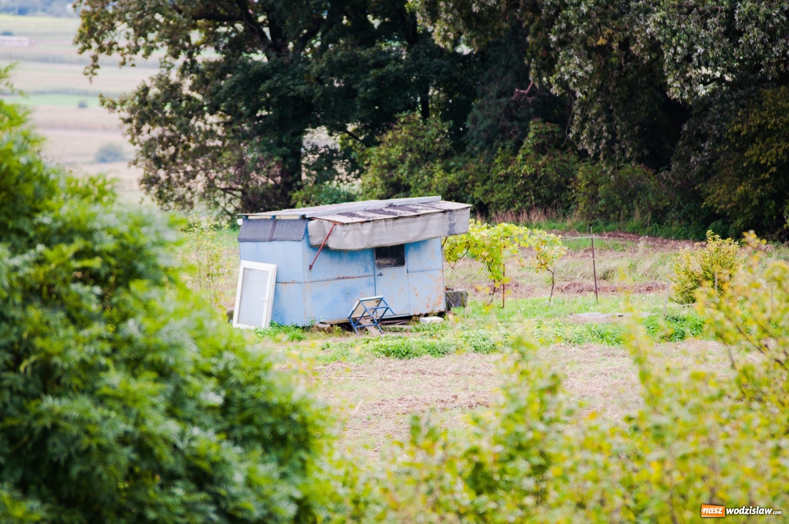 Zdjęcie w galerii na portalu naszwodzislaw.com: Wieża widokowa w Pogrzebieniu już otwarta. Tak z niej widać Lubomię [FOTO]  wiadomości z regionu