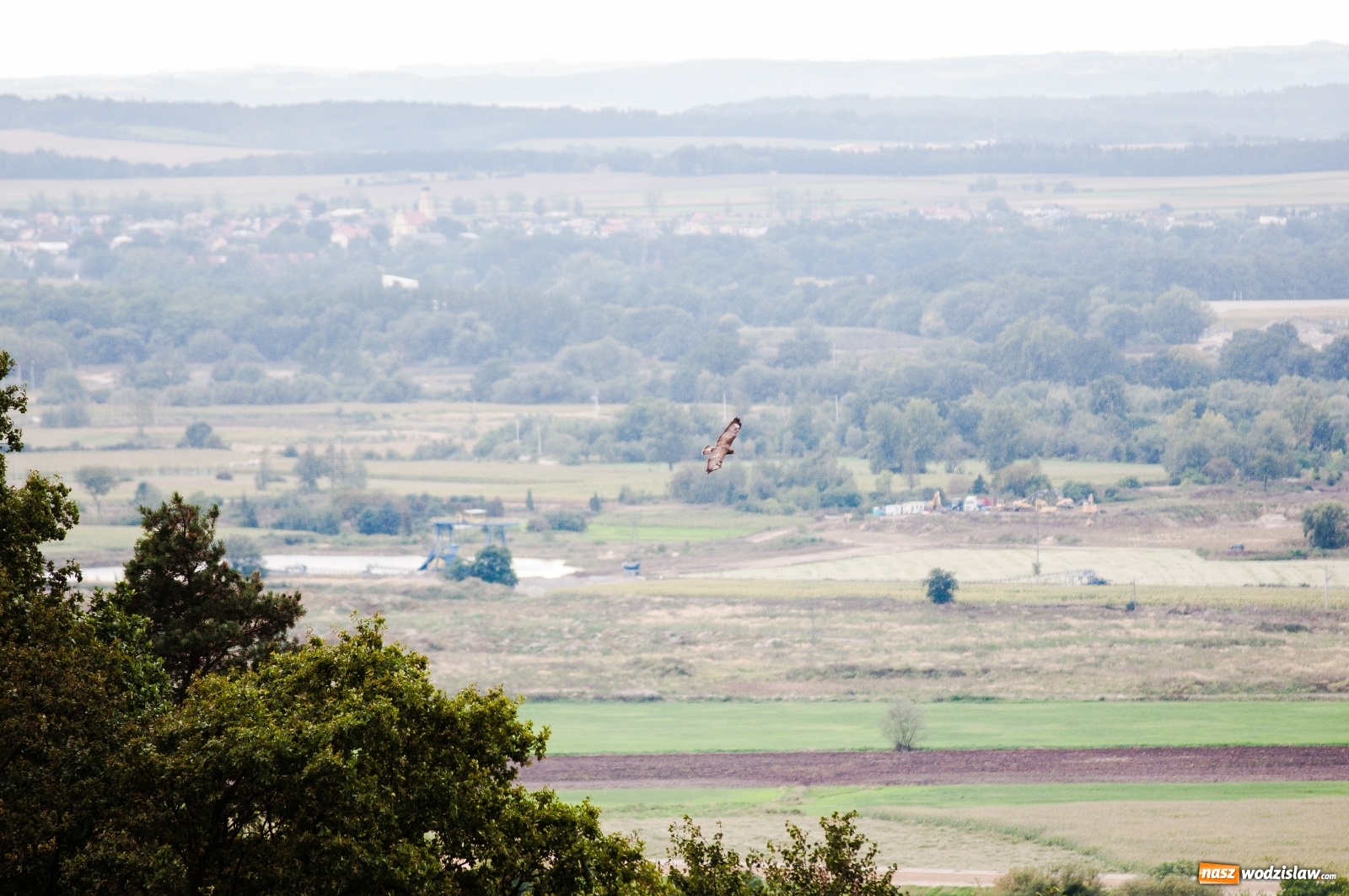 Zdjęcie w galerii na portalu naszwodzislaw.com: Wieża widokowa w Pogrzebieniu już otwarta. Tak z niej widać Lubomię [FOTO]  wiadomości z regionu