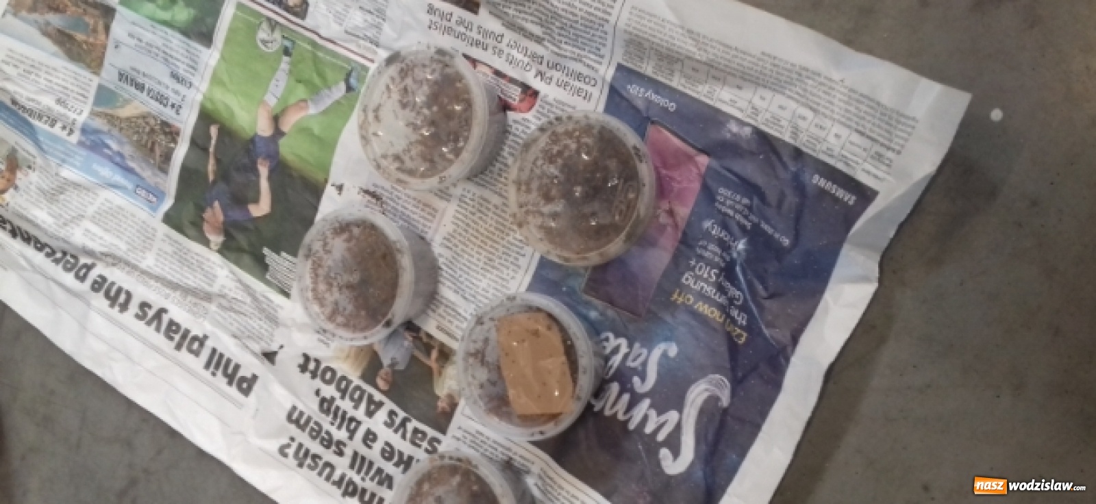 Zdjęcie w galerii na portalu naszwodzislaw.com: Celnicy byli w szoku, kiedy to zobaczyli [FOTO] wiadomości z regionu