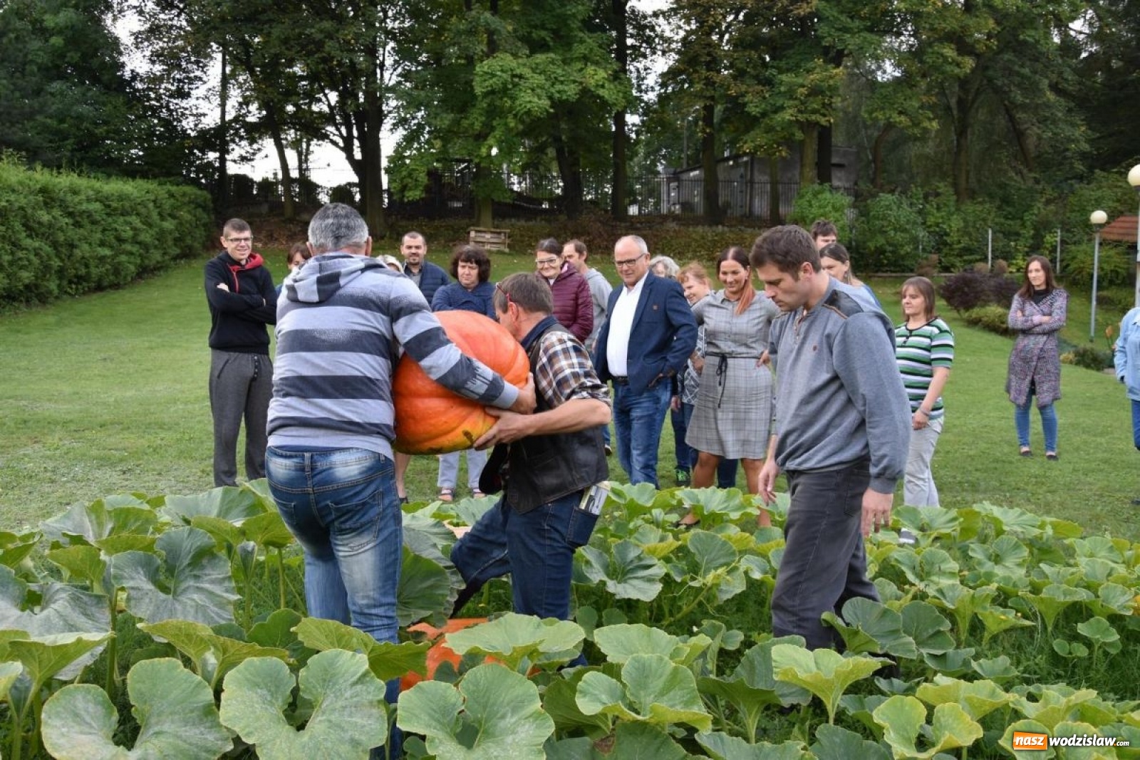 Zdjęcie w galerii na portalu naszwodzislaw.com: Baniobicie w Perle, czyli starcie starosty ze złotem jesieni [FOTO] wiadomości z regionu