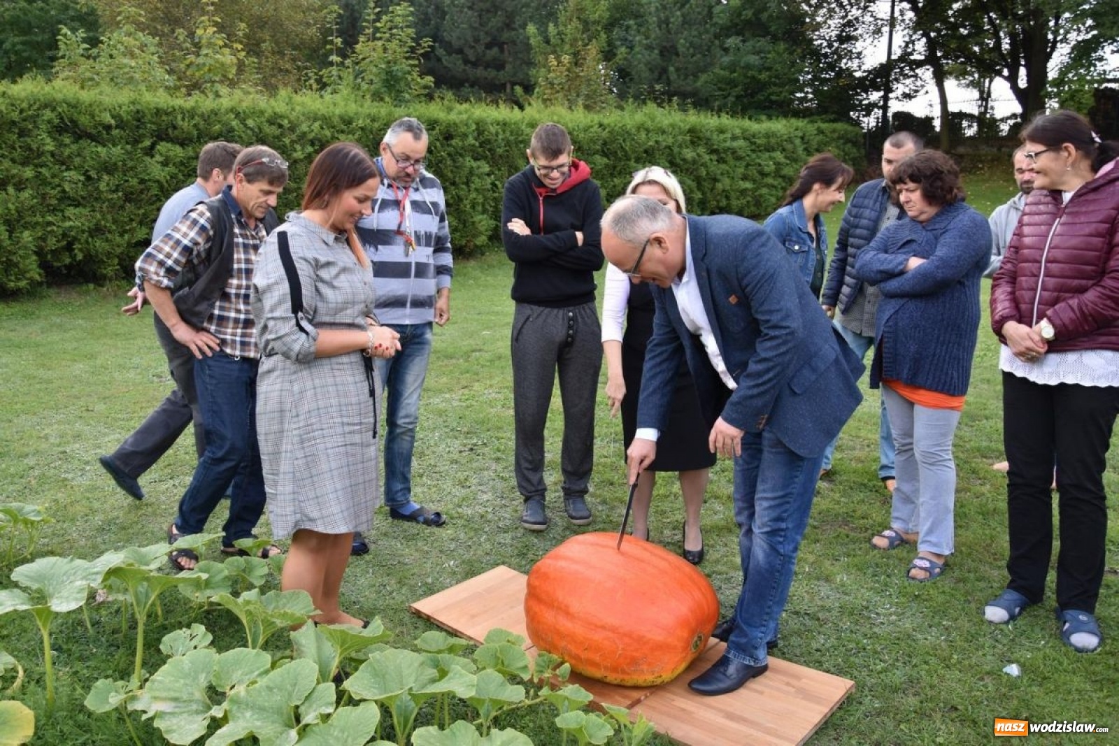 Zdjęcie w galerii na portalu naszwodzislaw.com: Baniobicie w Perle, czyli starcie starosty ze złotem jesieni [FOTO] wiadomości z regionu