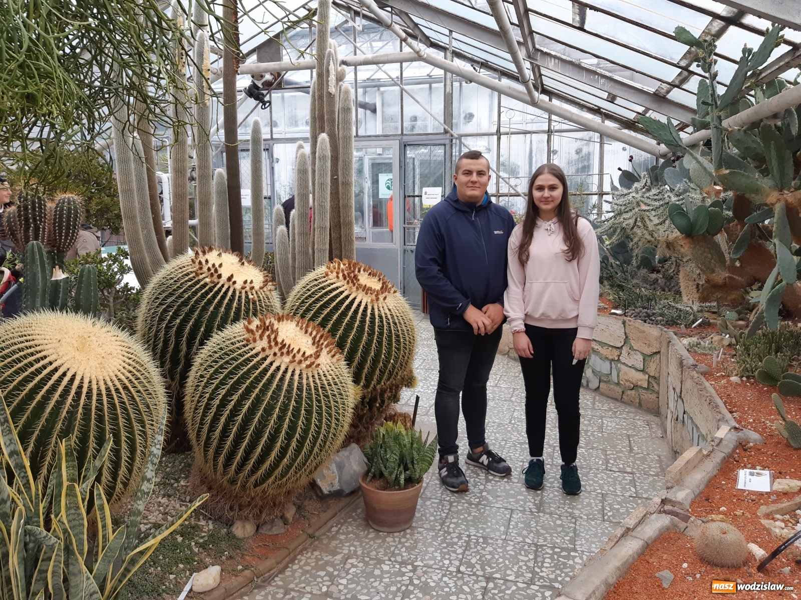 Zdjęcie w galerii na portalu naszwodzislaw.com: Podwójne i smaczne srebro wodzisławskiego Ekonomika   wiadomości z regionu