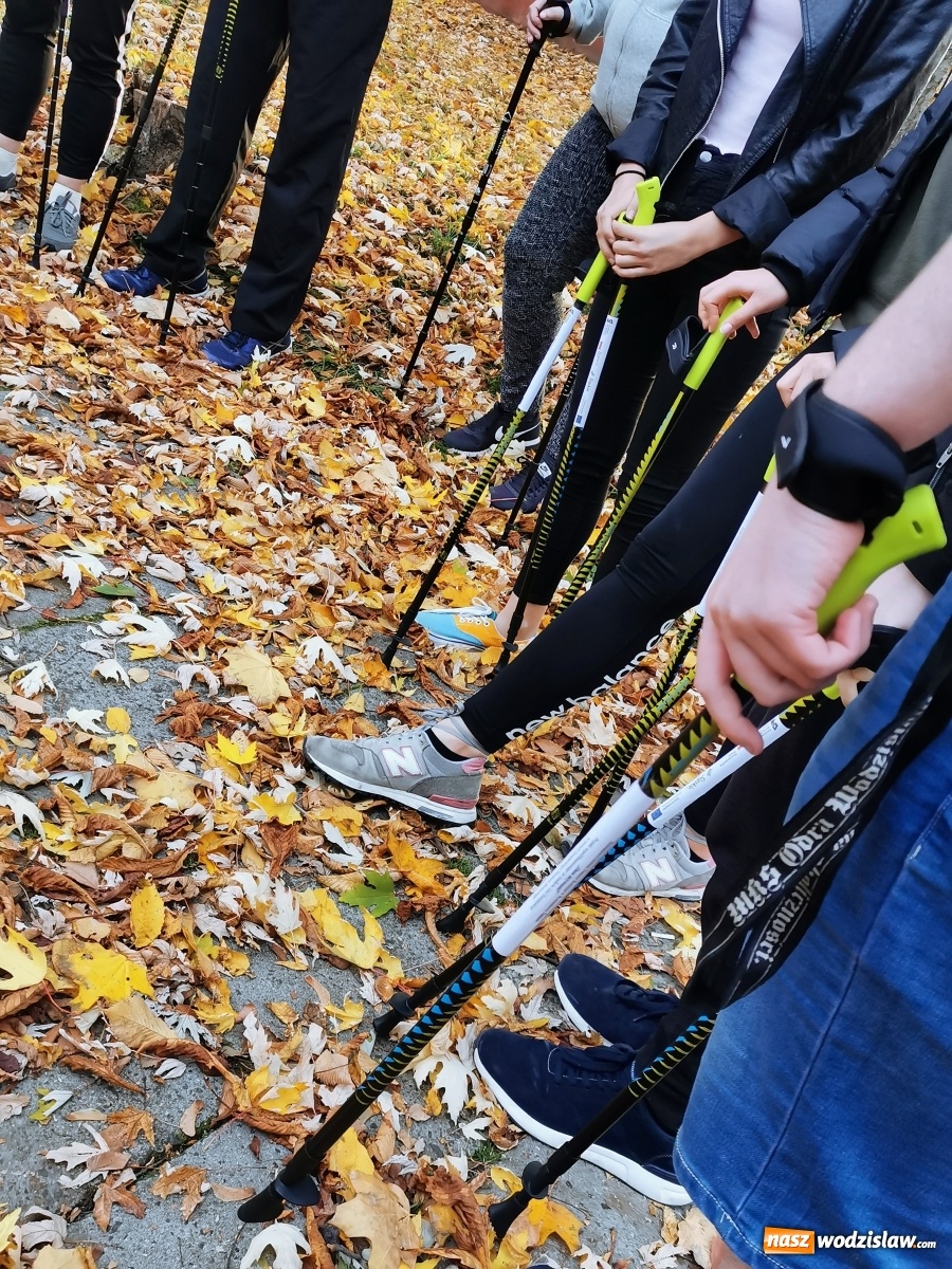 Zdjęcie w galerii na portalu naszwodzislaw.com: Warsztaty Nordic Walking w ramach projektu Oaza aktywności wiadomości z regionu