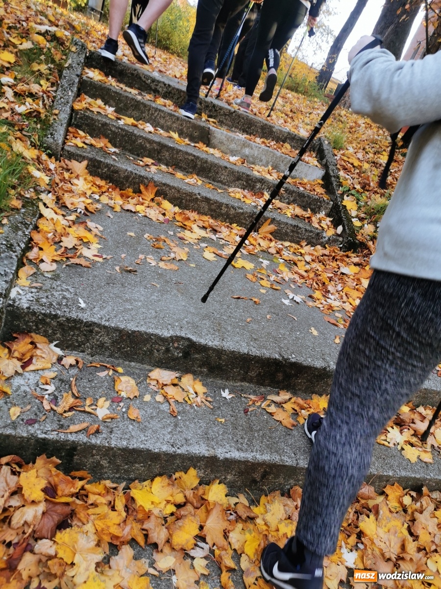 Zdjęcie w galerii na portalu naszwodzislaw.com: Warsztaty Nordic Walking w ramach projektu Oaza aktywności wiadomości z regionu