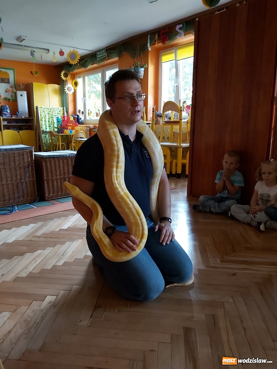 Zdjęcie w galerii na portalu naszwodzislaw.com: Atrakcyjny październik dzieci z pszowskiego przedszkola wiadomości z regionu