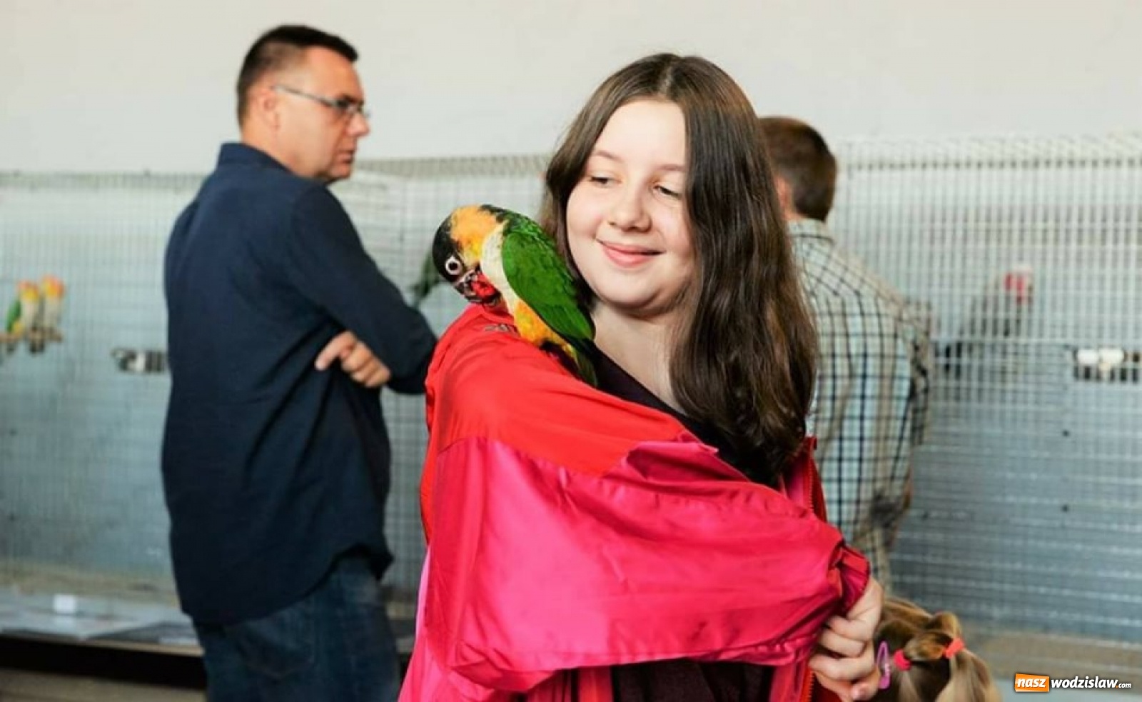 Zdjęcie w galerii na portalu naszwodzislaw.com: Weekend pełen atrakcji w Wodzisławiu wiadomości z regionu