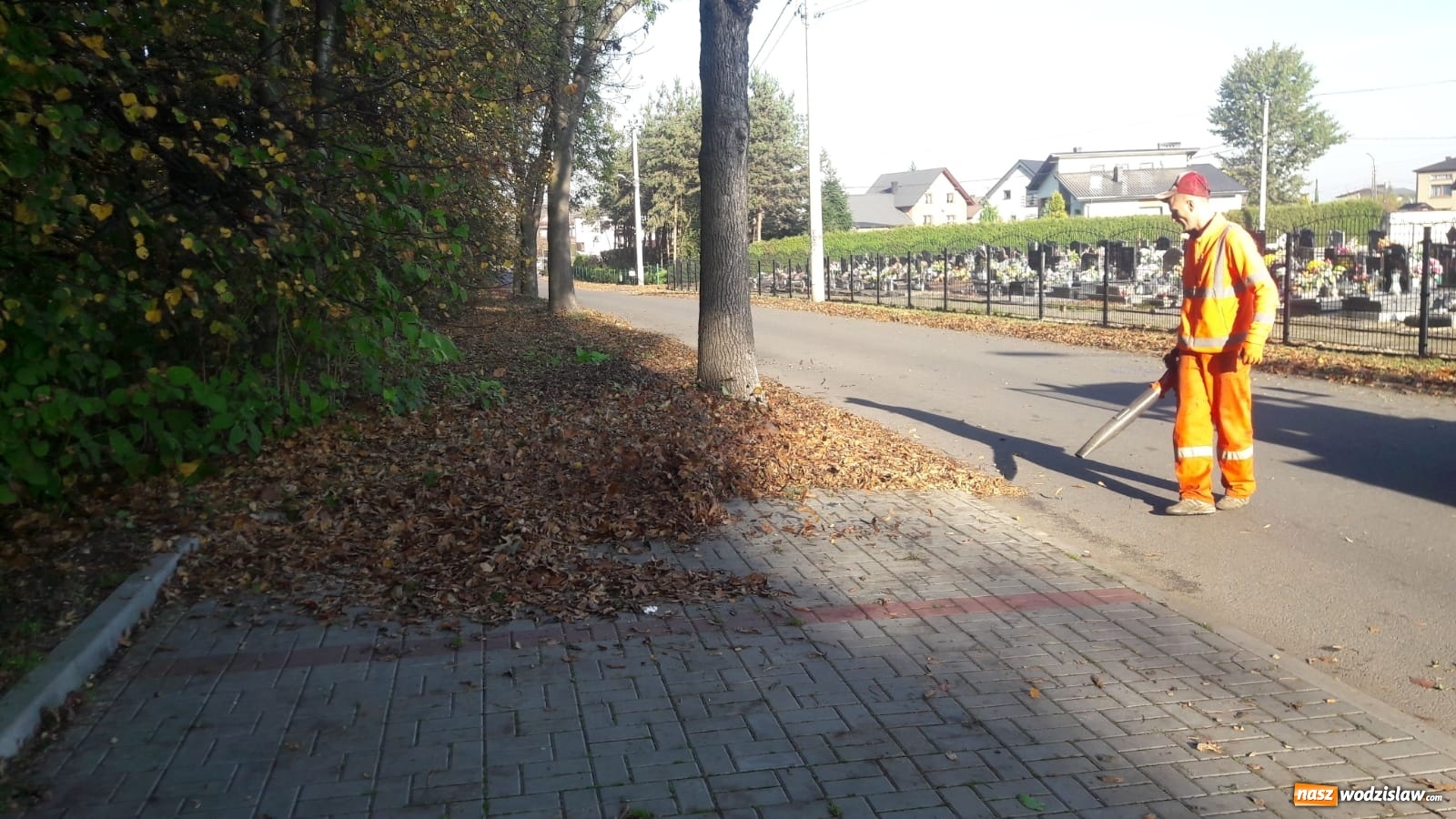 Zdjęcie w galerii na portalu naszwodzislaw.com: Jesienne porządki czas start wiadomości z regionu
