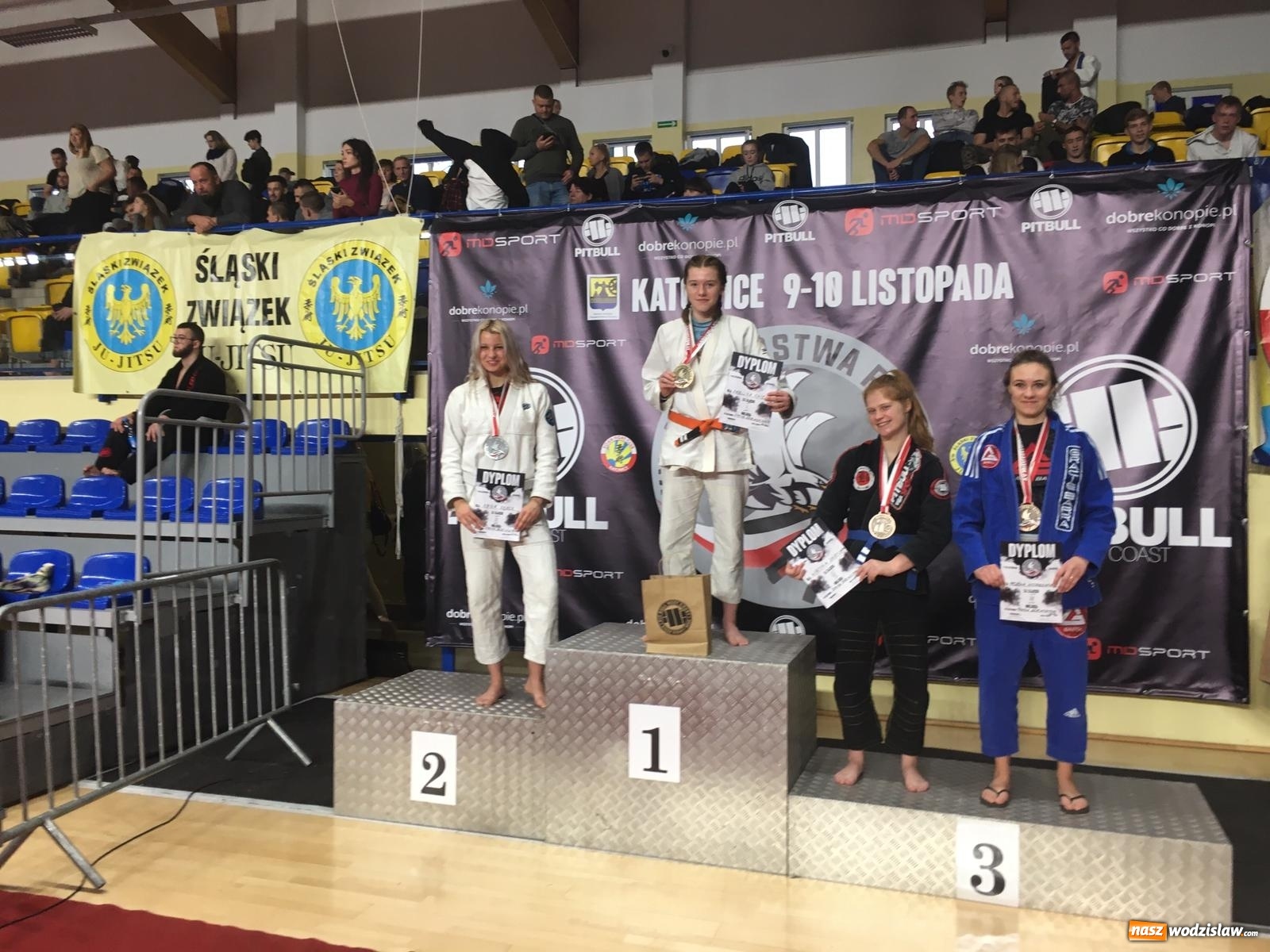 Zdjęcie w galerii na portalu naszwodzislaw.com: Medalowy weekend Octagon Team wiadomości z regionu