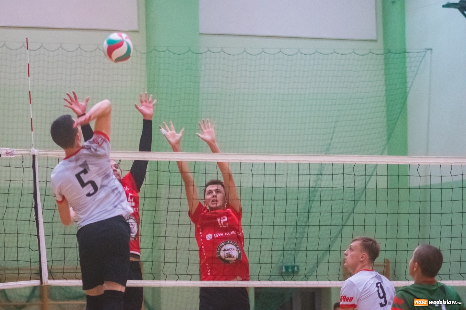 Zdjęcie w galerii na portalu naszwodzislaw.com: Siatkarski rollercoaster w Arenie Rafako. Raciborzanie górą! [FOTO i WIDEO] wiadomości z regionu