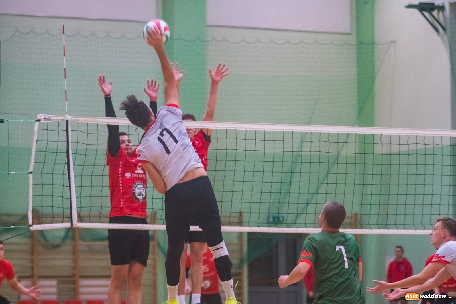 Zdjęcie w galerii na portalu naszwodzislaw.com: Siatkarski rollercoaster w Arenie Rafako. Raciborzanie górą! [FOTO i WIDEO] wiadomości z regionu