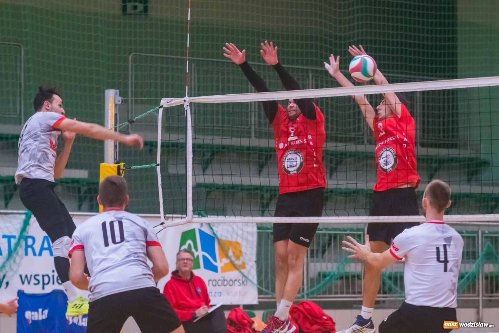 Zdjęcie w galerii na portalu naszwodzislaw.com: Siatkarski rollercoaster w Arenie Rafako. Raciborzanie górą! [FOTO i WIDEO] wiadomości z regionu