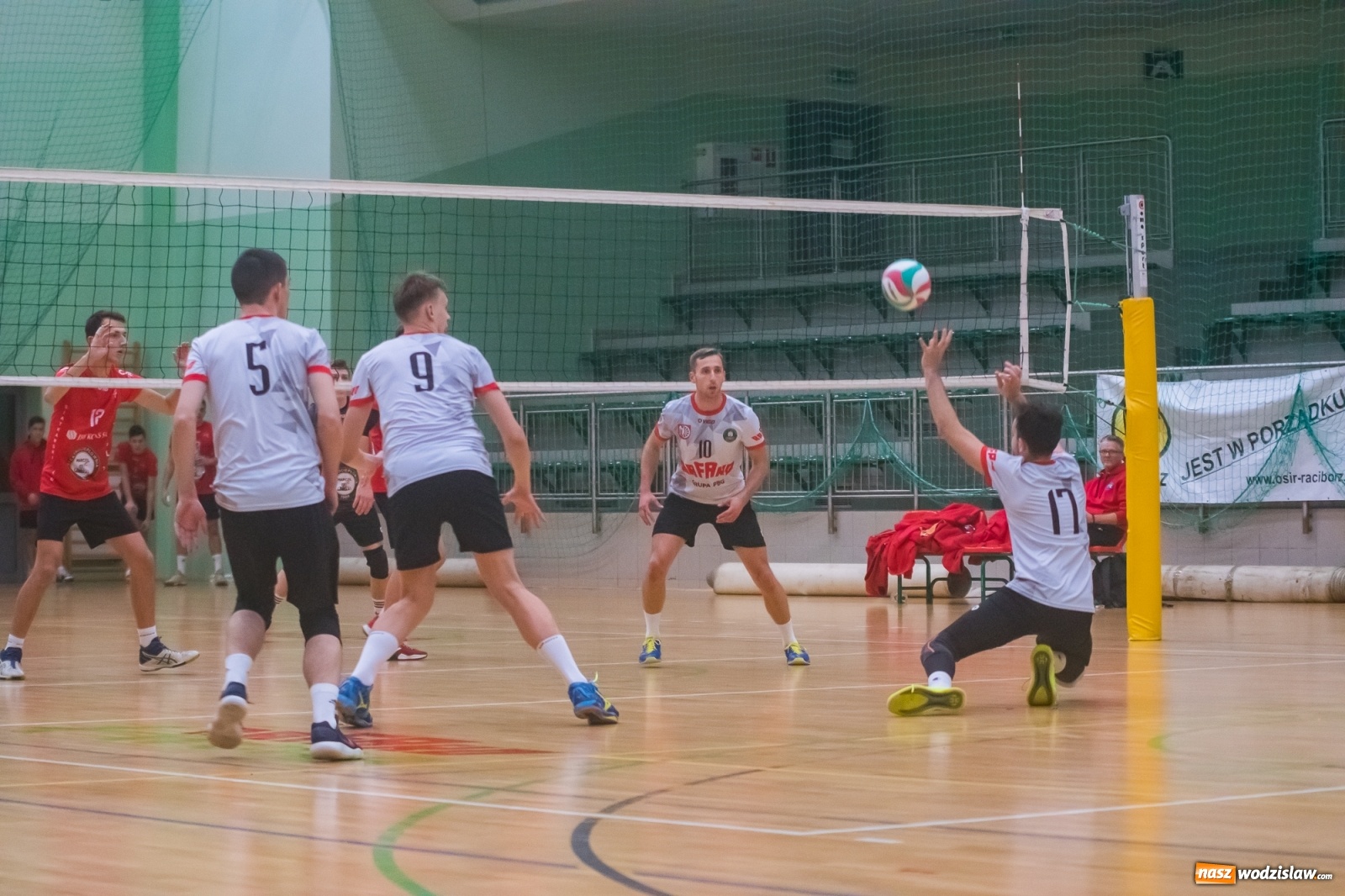 Zdjęcie w galerii na portalu naszwodzislaw.com: Siatkarski rollercoaster w Arenie Rafako. Raciborzanie górą! [FOTO i WIDEO] wiadomości z regionu