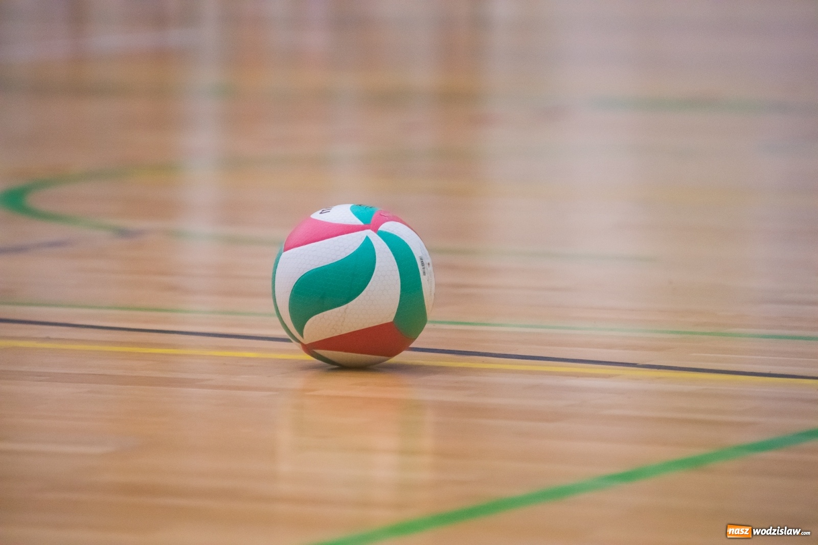 Zdjęcie w galerii na portalu naszwodzislaw.com: Siatkarski rollercoaster w Arenie Rafako. Raciborzanie górą! [FOTO i WIDEO] wiadomości z regionu