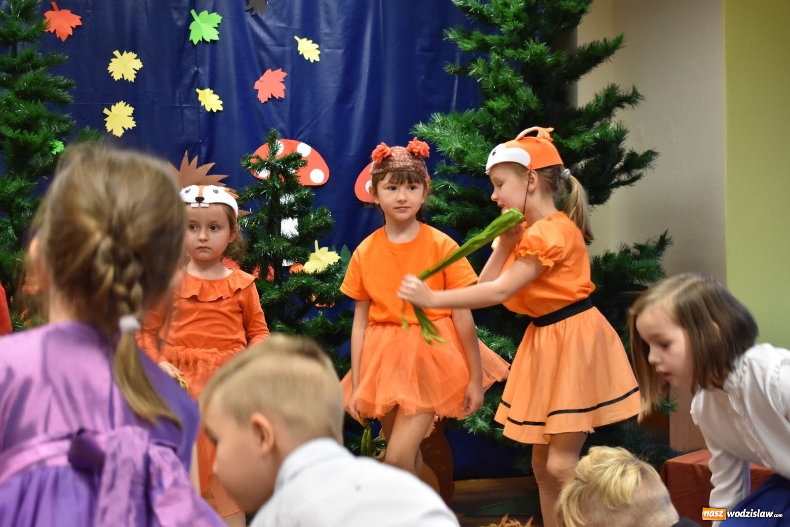 Zdjęcie w galerii na portalu naszwodzislaw.com: Pasowanie na starszaka w przedszkolu numer 16 wiadomości z regionu