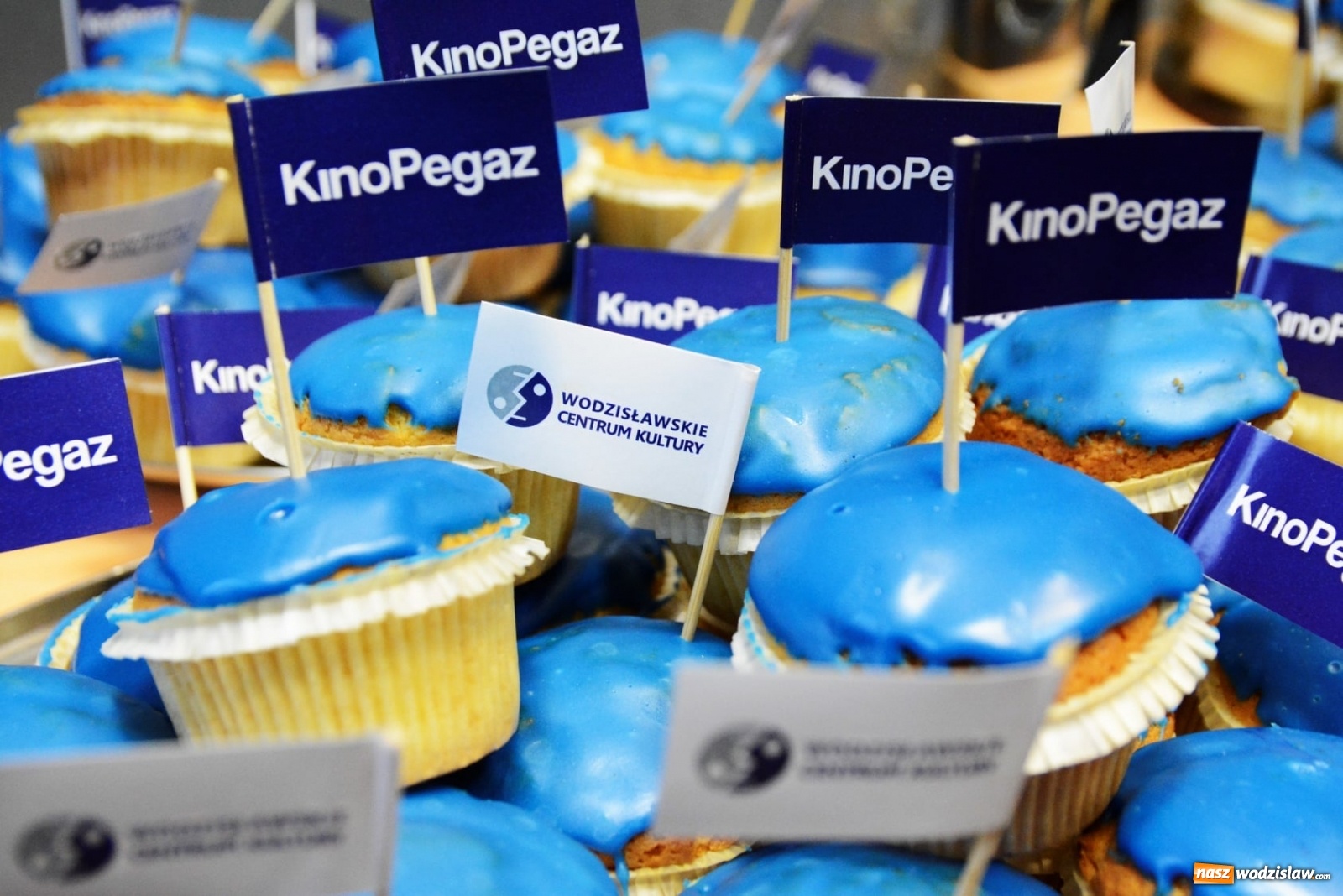 Zdjęcie w galerii na portalu naszwodzislaw.com: Kino Pegaz z niespodziankami wiadomości z regionu
