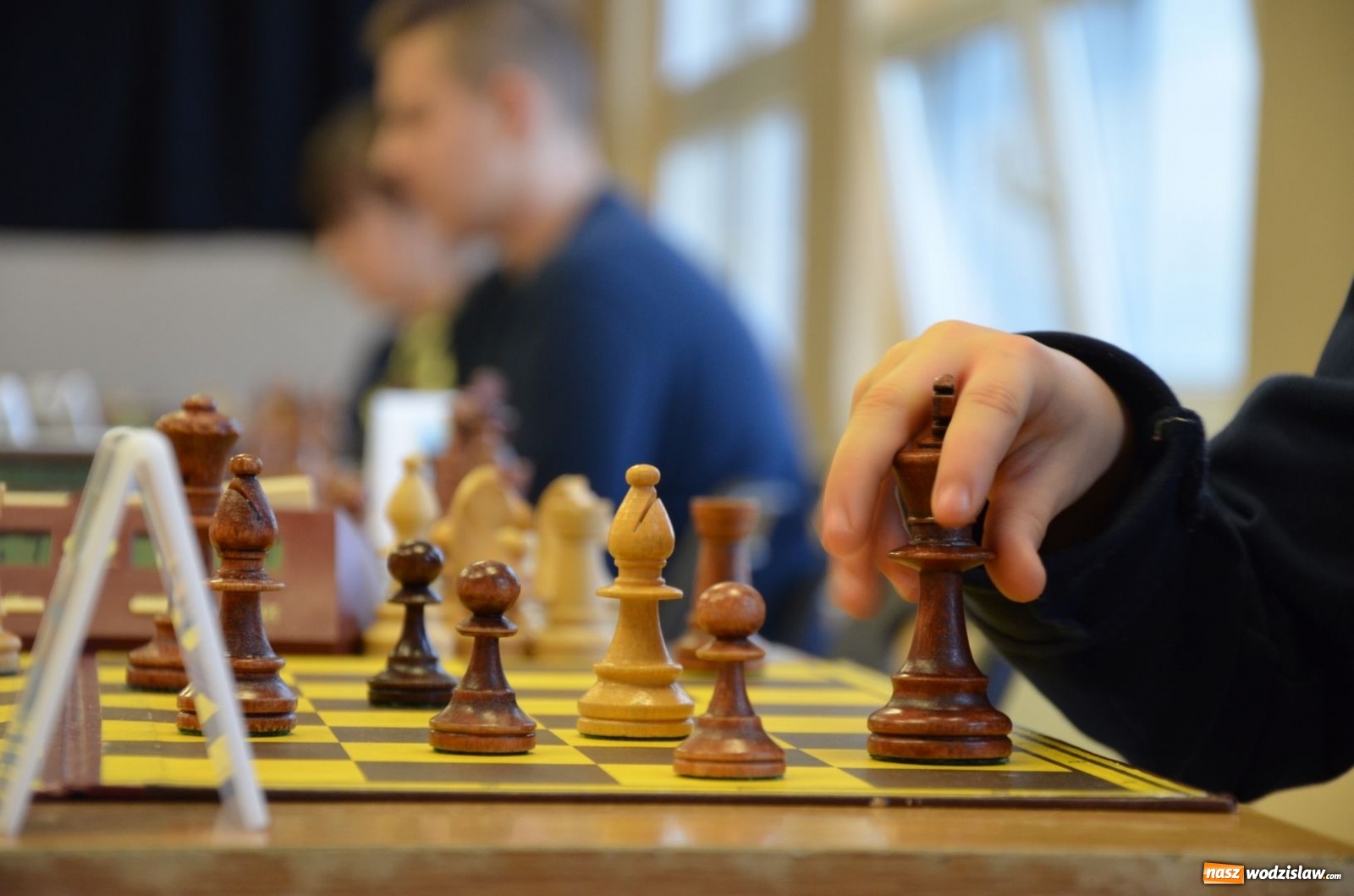 Zdjęcie w galerii na portalu naszwodzislaw.com: Znamy powiatowych mistrzów królewskiej gry wiadomości z regionu