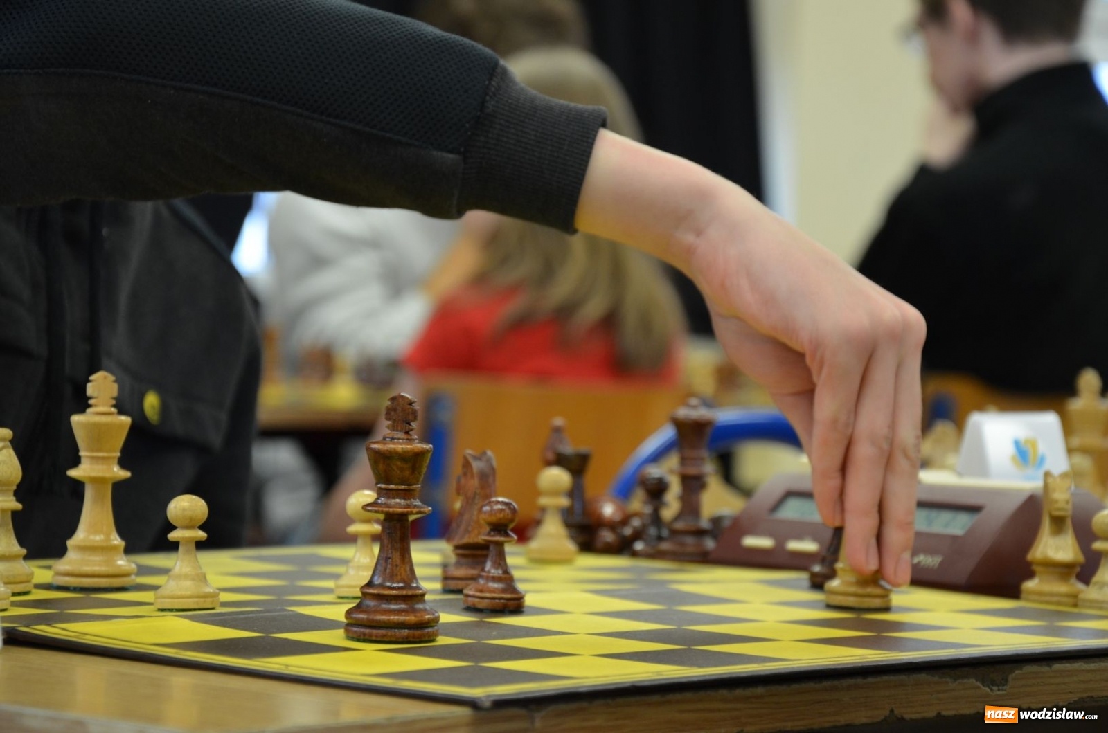 Zdjęcie w galerii na portalu naszwodzislaw.com: Znamy powiatowych mistrzów królewskiej gry wiadomości z regionu