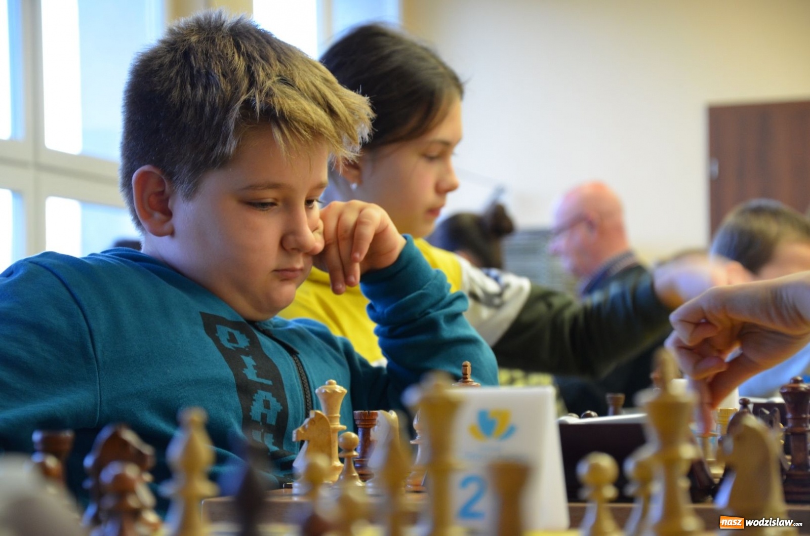 Zdjęcie w galerii na portalu naszwodzislaw.com: Znamy powiatowych mistrzów królewskiej gry wiadomości z regionu
