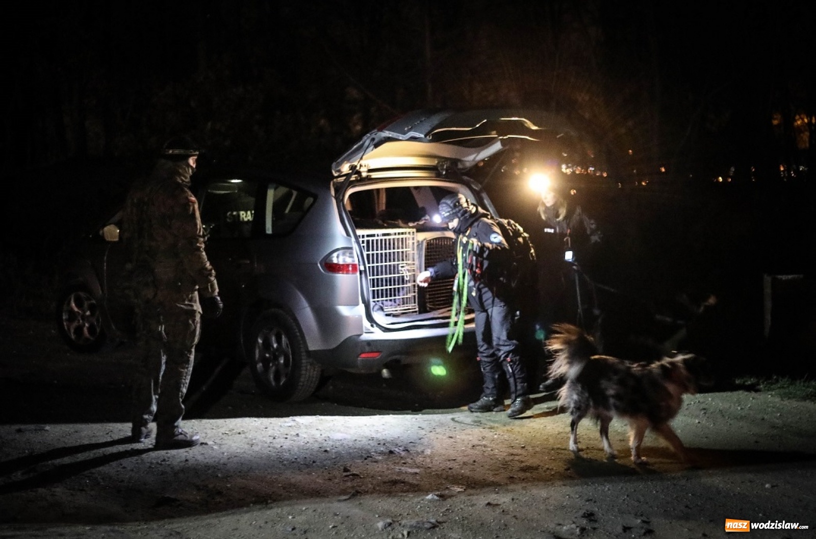 Zdjęcie w galerii na portalu naszwodzislaw.com: Tak szkoli się pilotażowa grupa K9 terytorialsów wiadomości z regionu