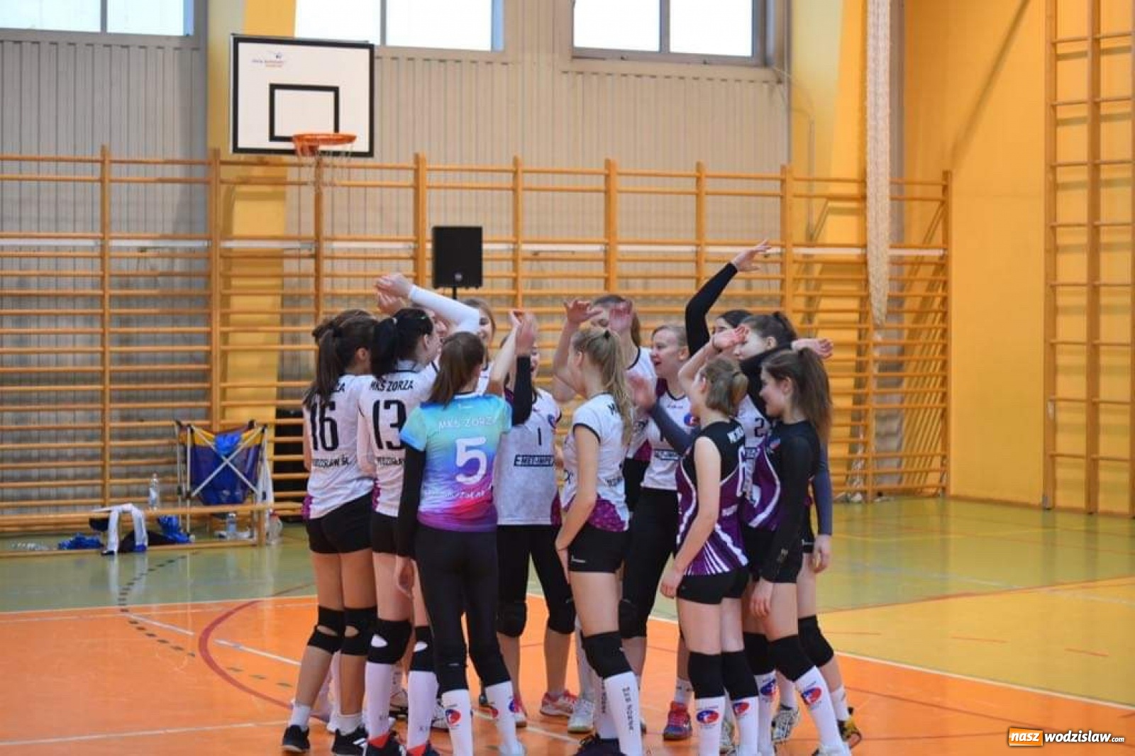 Zdjęcie w galerii na portalu naszwodzislaw.com: Siatkarki wodzisławskiej Zorzy z Pucharem Prezydenta wiadomości z regionu
