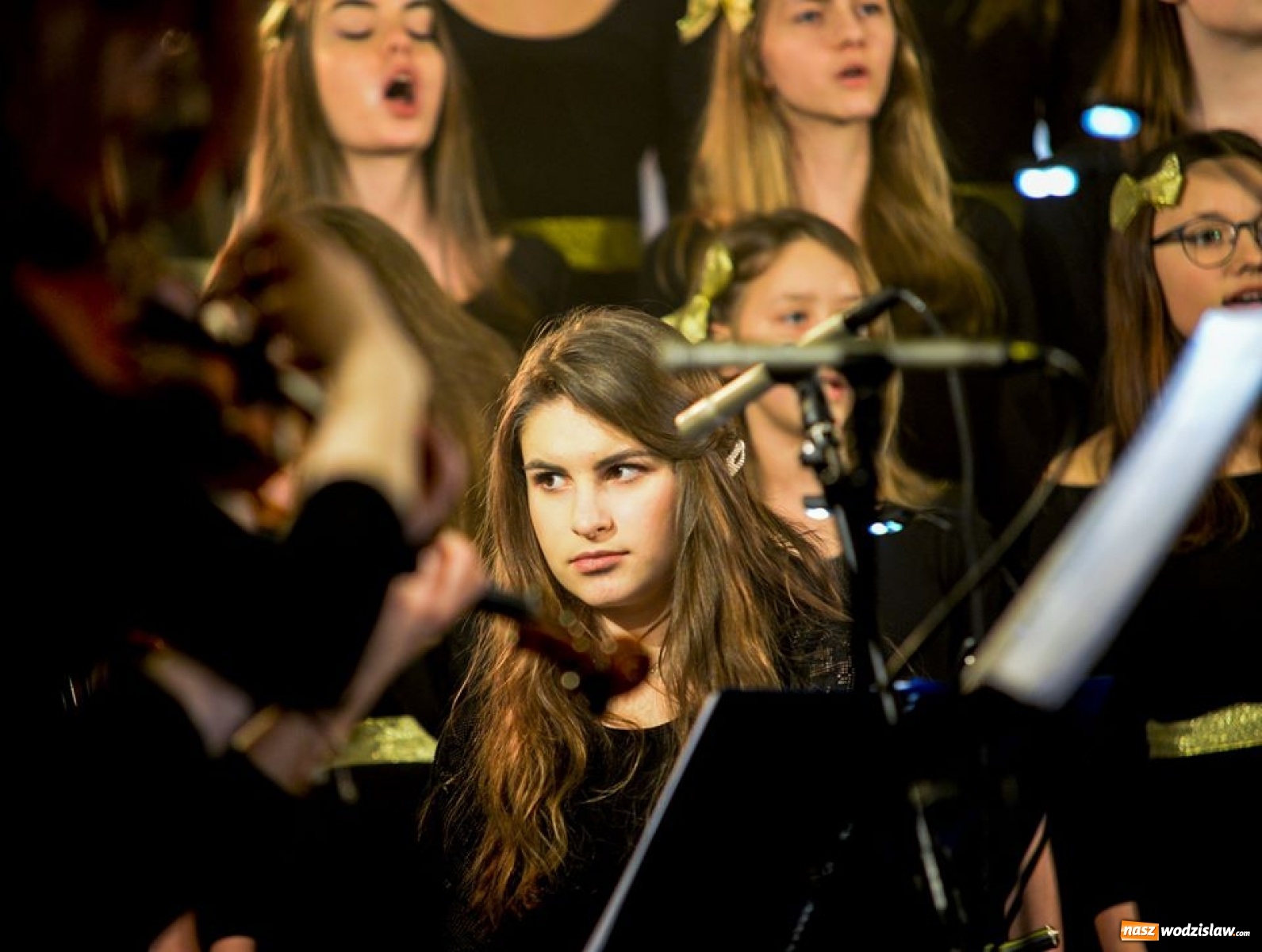 Zdjęcie w galerii na portalu naszwodzislaw.com: Muzyczna uczta podczas koncertu w Jedłowniku wiadomości z regionu