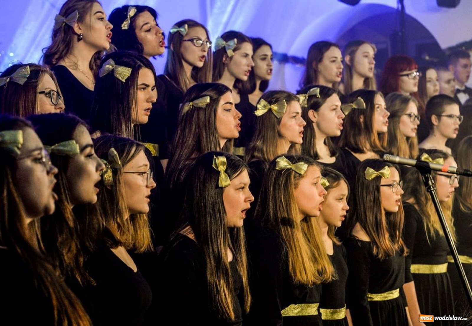 Zdjęcie w galerii na portalu naszwodzislaw.com: Muzyczna uczta podczas koncertu w Jedłowniku wiadomości z regionu