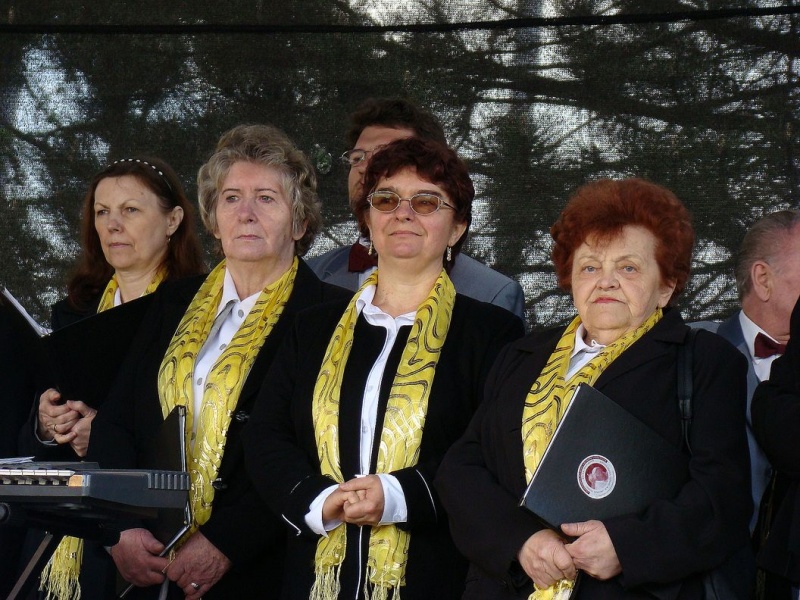 Zdjęcie w galerii na portalu naszwodzislaw.com: Flaga Polski i laska skautowska wiadomości z regionu