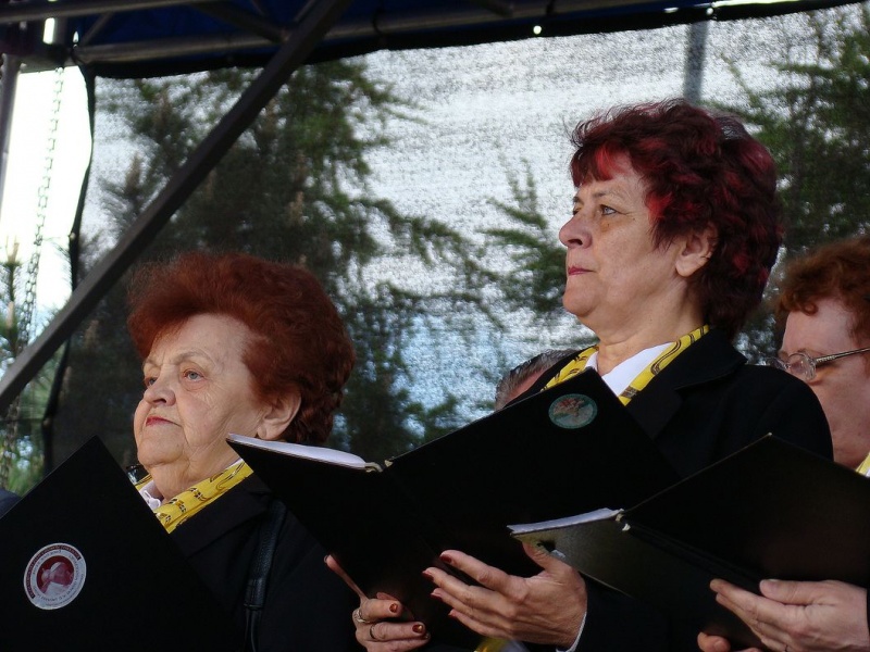 Zdjęcie w galerii na portalu naszwodzislaw.com: Flaga Polski i laska skautowska wiadomości z regionu