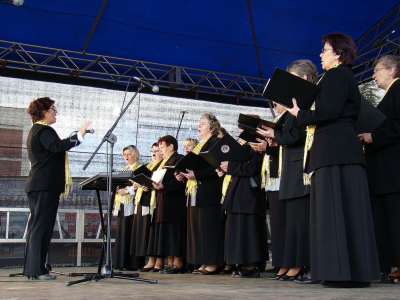 Zdjęcie w galerii na portalu naszwodzislaw.com: Flaga Polski i laska skautowska wiadomości z regionu