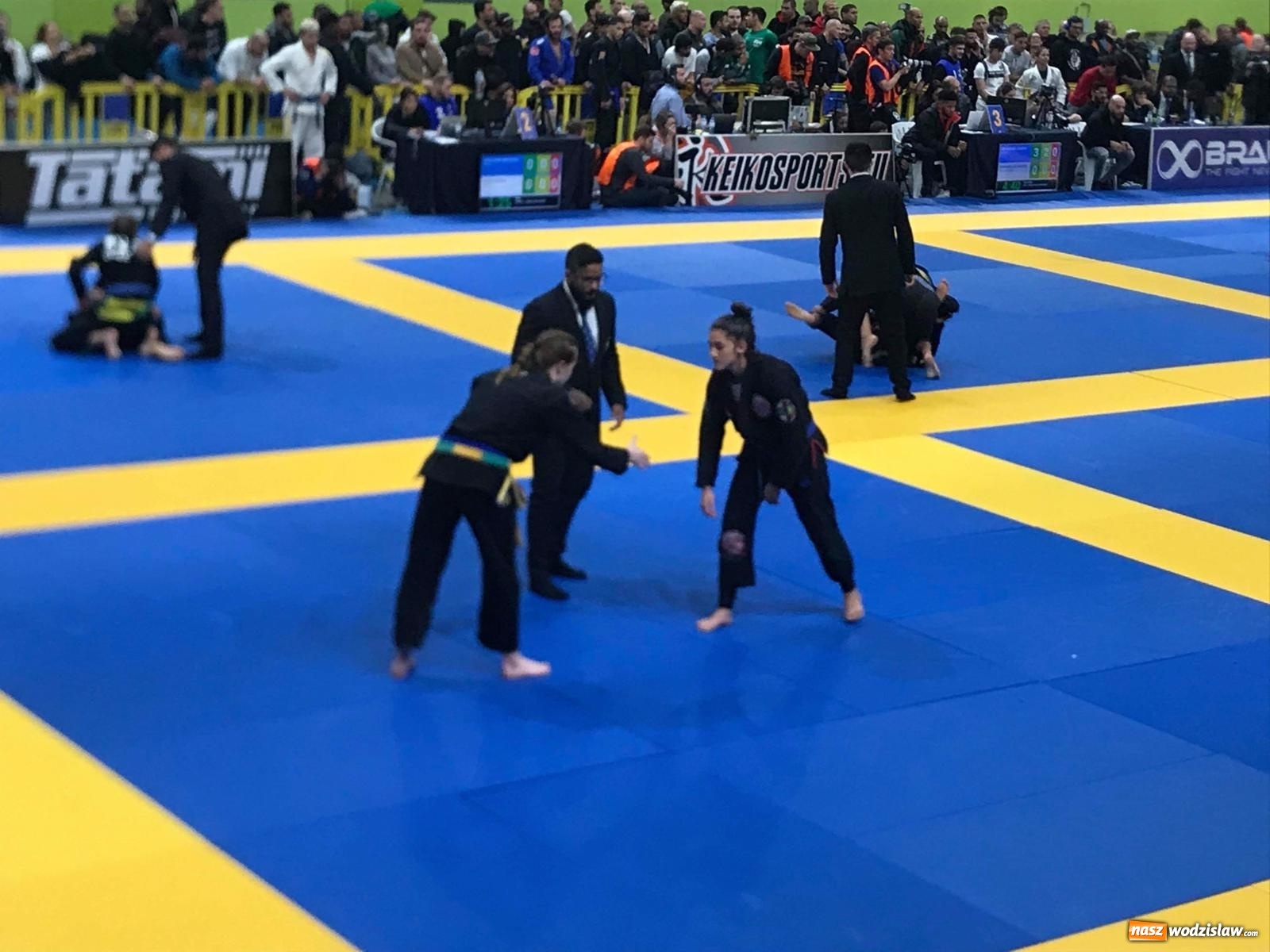 Zdjęcie w galerii na portalu naszwodzislaw.com: Paulina Śnieg z brązowym medalem mistrzostw Europy wiadomości z regionu