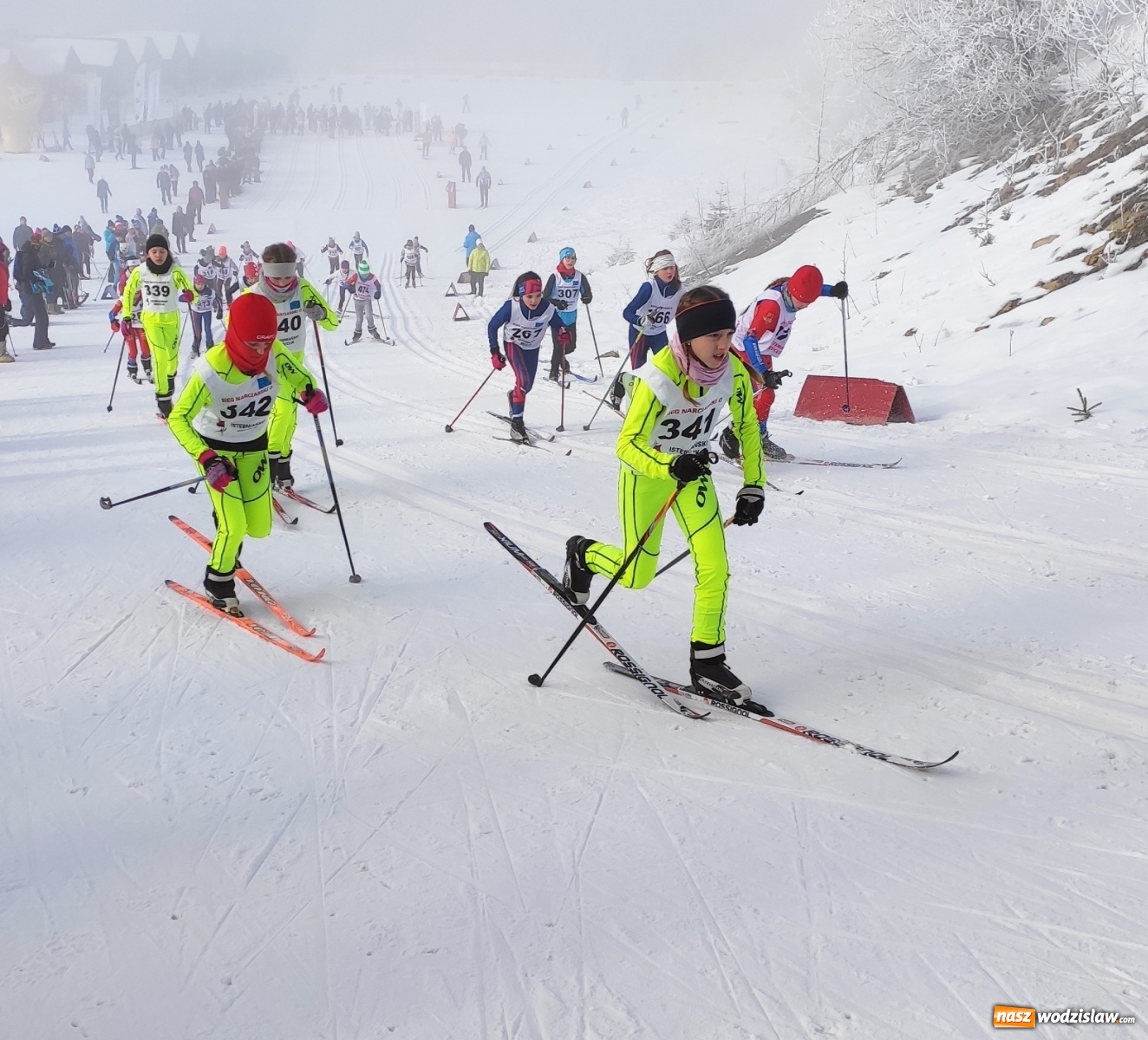 Zdjęcie w galerii na portalu naszwodzislaw.com: Sukcesy biegaczy Ski Team Wodzisław w Istebnej wiadomości z regionu