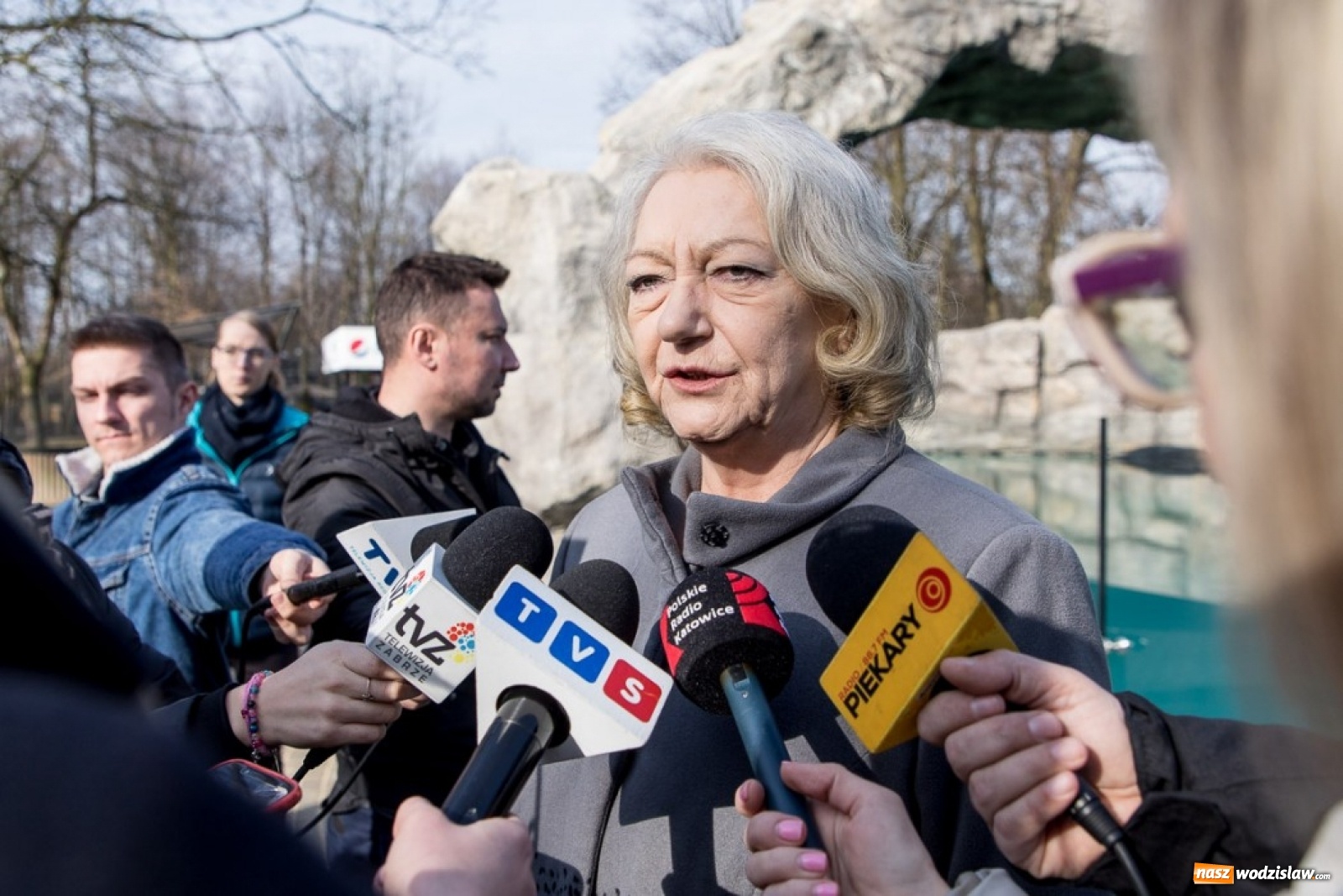 Zdjęcie w galerii na portalu naszwodzislaw.com: A to ci niespodzianka na Śląsku wiadomości z regionu