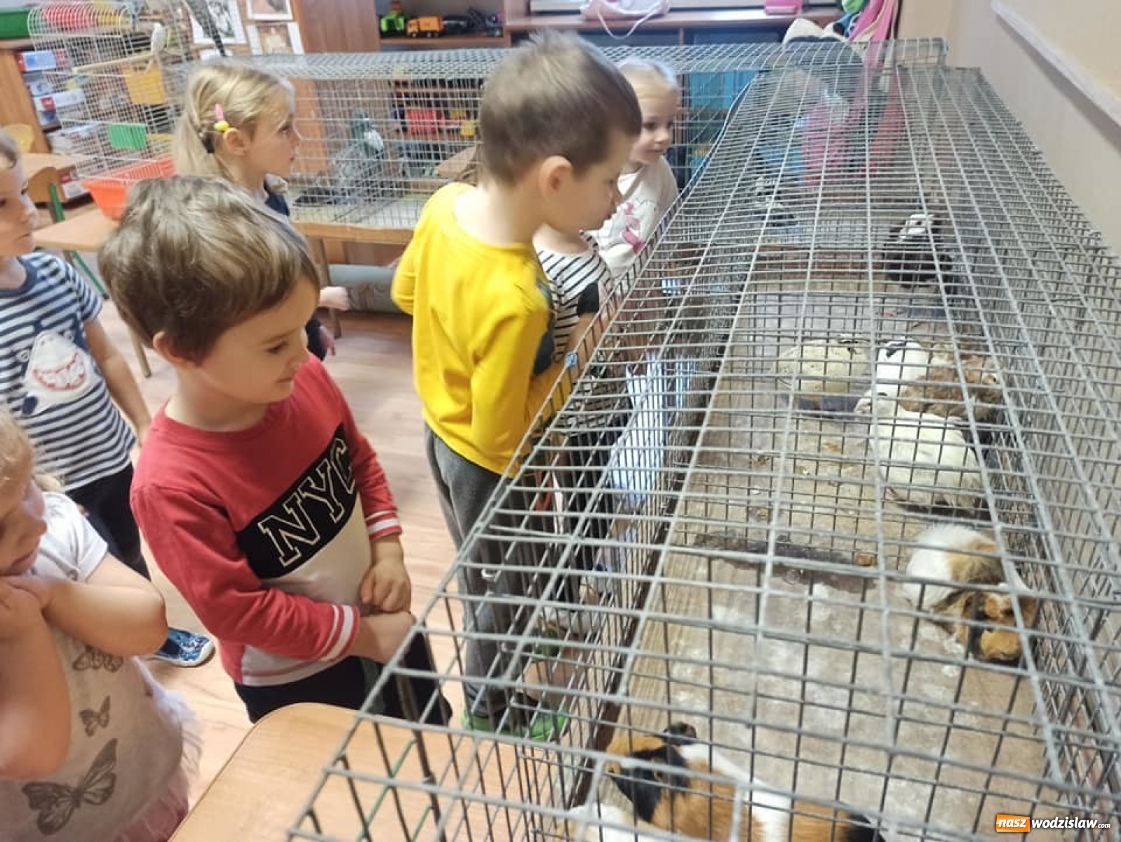 Zdjęcie w galerii na portalu naszwodzislaw.com: Niecodzienny gość w wodzisławskim PP1 wiadomości z regionu