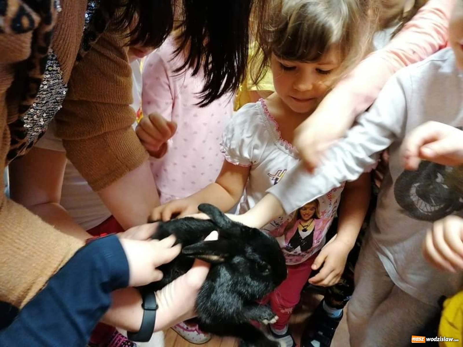 Zdjęcie w galerii na portalu naszwodzislaw.com: Niecodzienny gość w wodzisławskim PP1 wiadomości z regionu