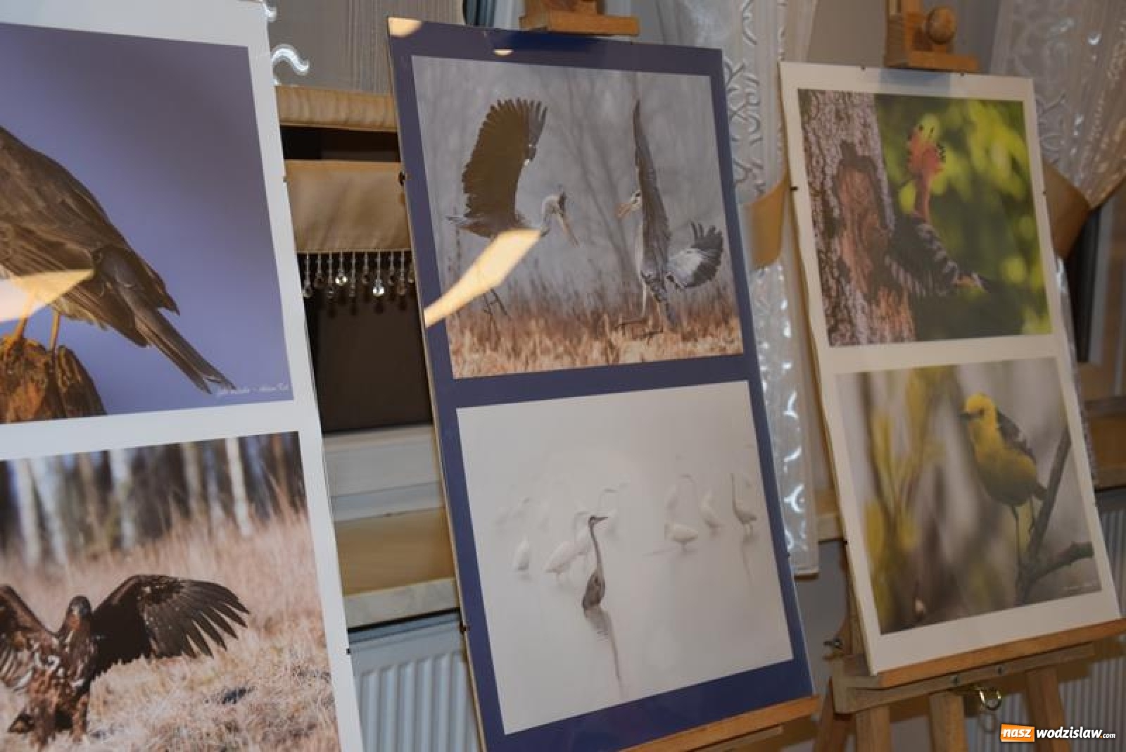 Zdjęcie w galerii na portalu naszwodzislaw.com: Promocja książki Nasze opoWieści Gminne w Mszanie [FOTO] wiadomości z regionu