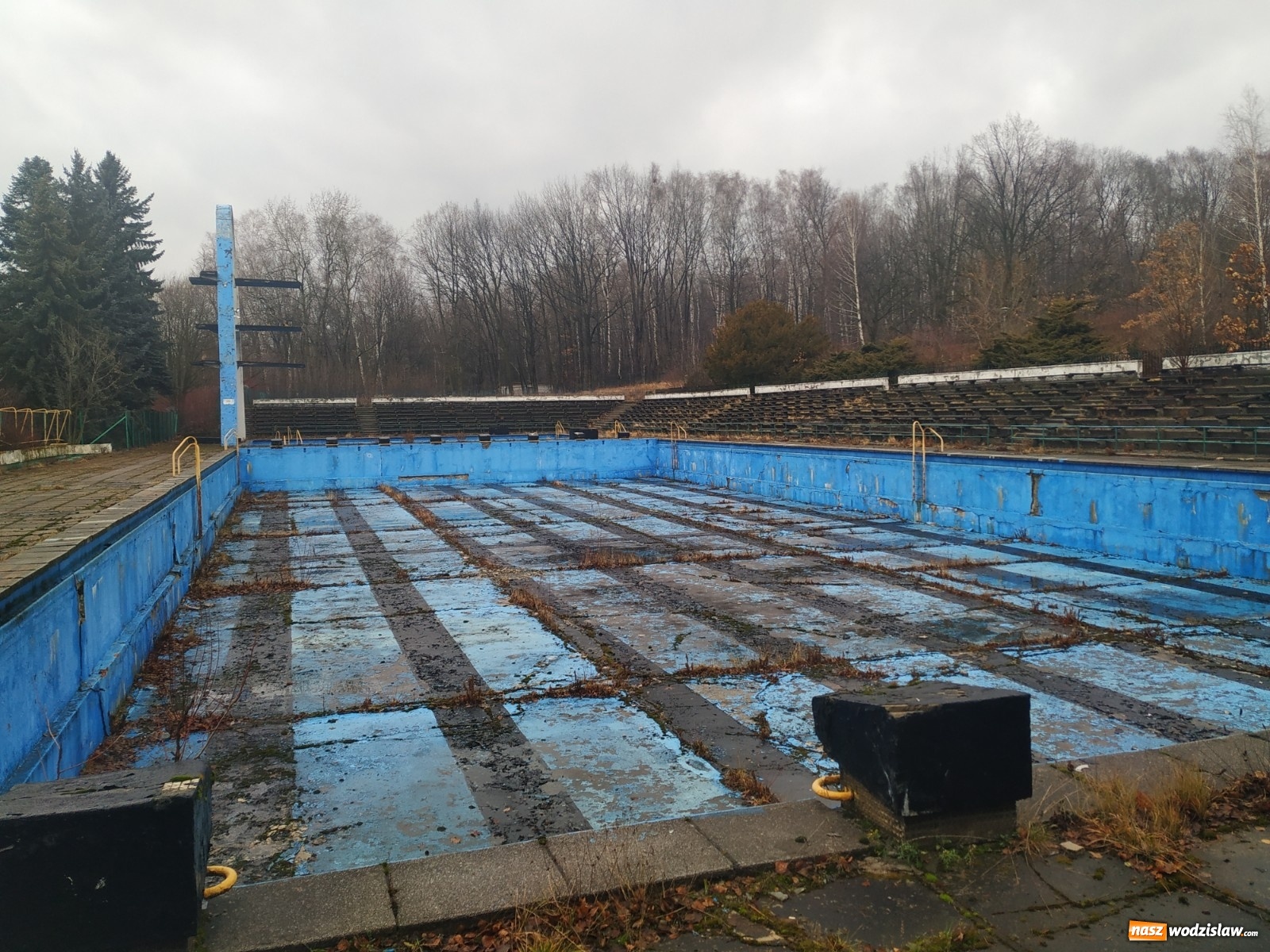 Zdjęcie w galerii na portalu naszwodzislaw.com: Modernizacja Parku Śląskiego. Nowe wyzwanie dla studentów architektury raciborskiej PWSZ wiadomości z regionu