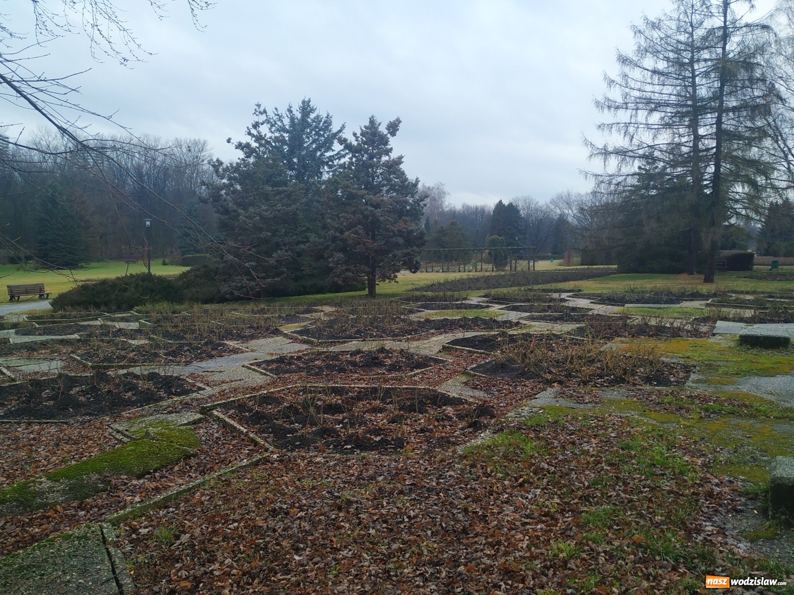 Zdjęcie w galerii na portalu naszwodzislaw.com: Modernizacja Parku Śląskiego. Nowe wyzwanie dla studentów architektury raciborskiej PWSZ wiadomości z regionu