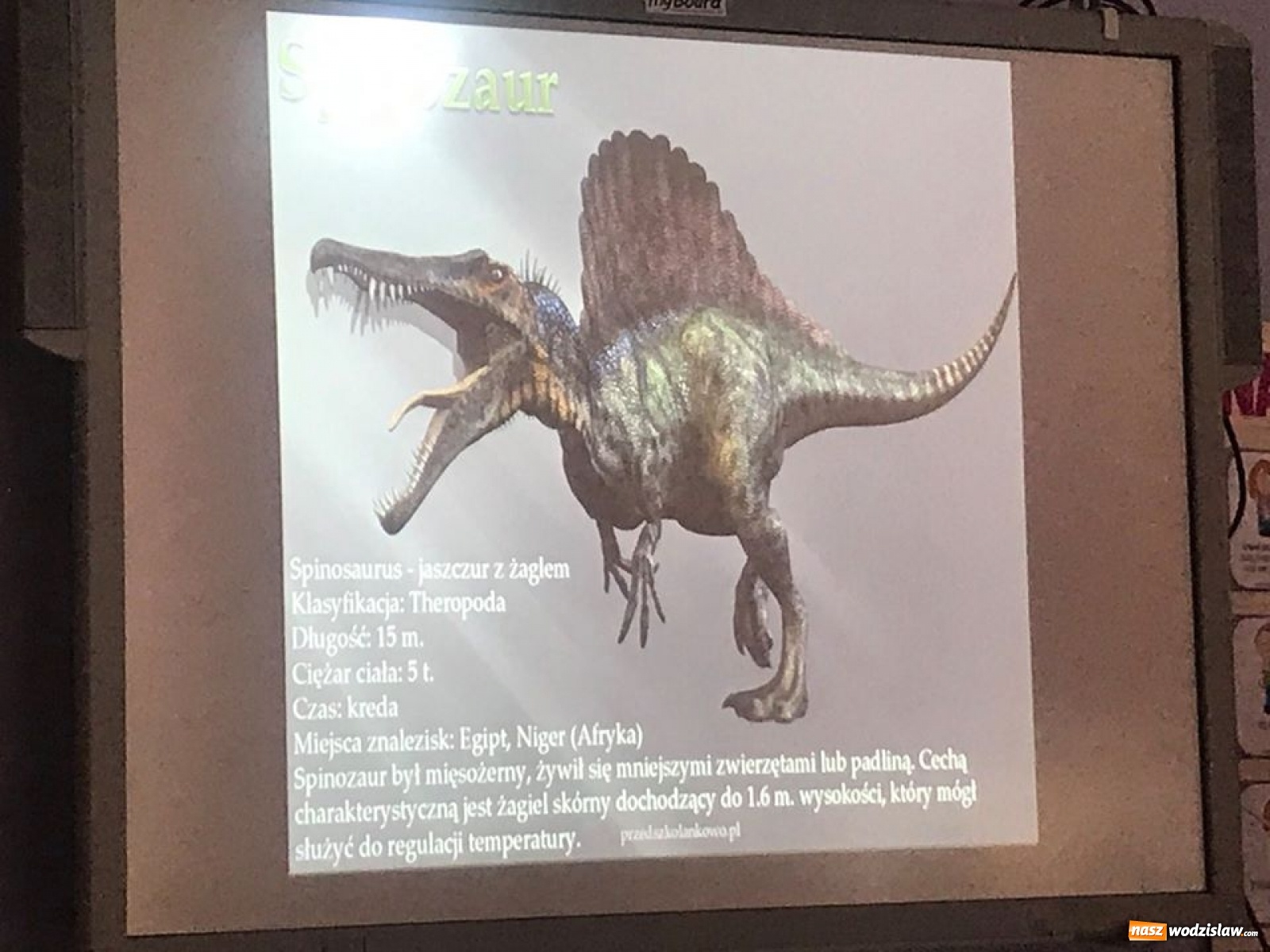 Zdjęcie w galerii na portalu naszwodzislaw.com: Przedszkolaki z wodzisławskiej szóstki świętowały Dzień Dinozaura wiadomości z regionu