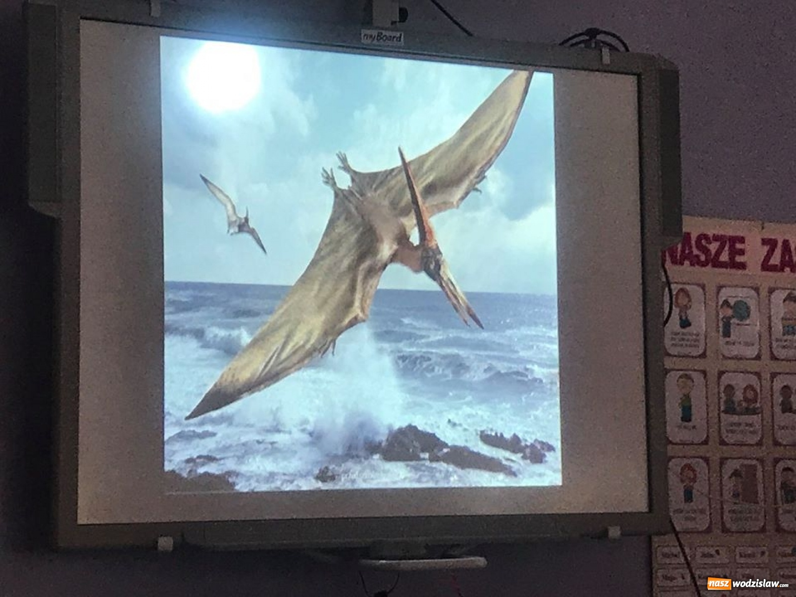 Zdjęcie w galerii na portalu naszwodzislaw.com: Przedszkolaki z wodzisławskiej szóstki świętowały Dzień Dinozaura wiadomości z regionu